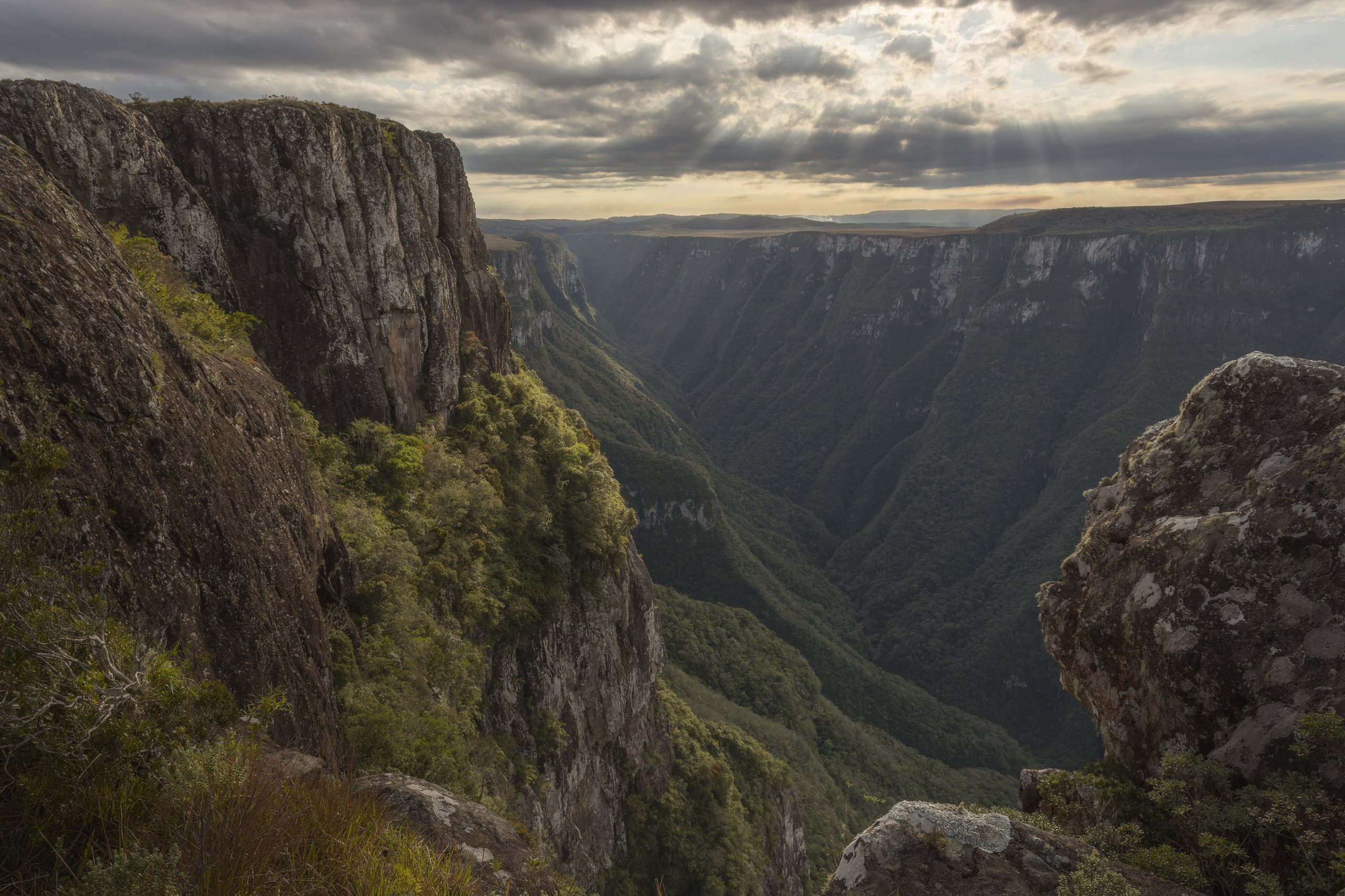 Parque Nacional da Serra Geral — Mata Atlântica