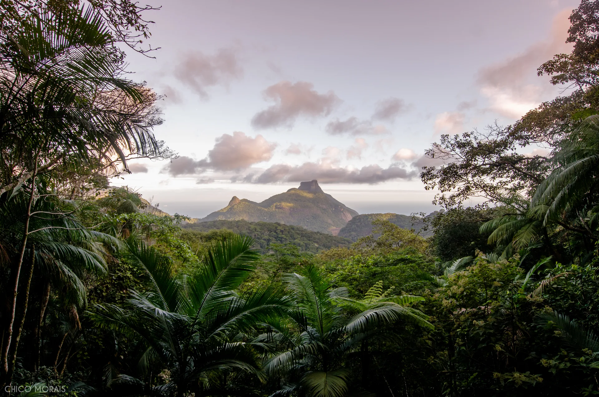 Pedra da Gávea, vista da da Floresta da Tijuca, Rio de Janeiro - RJ.
