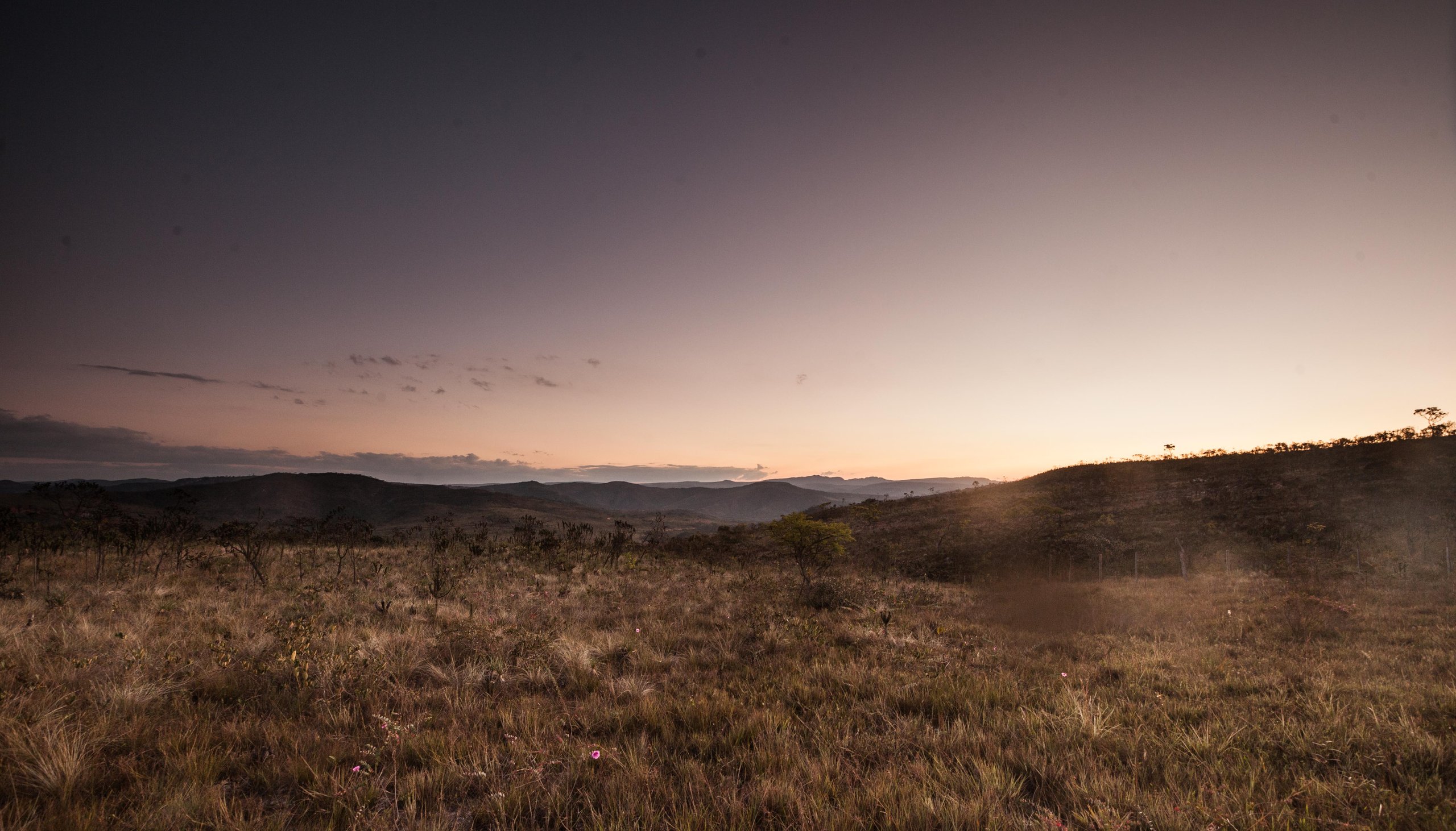 Parque Nacional das Sempre-vivas — Cerrado