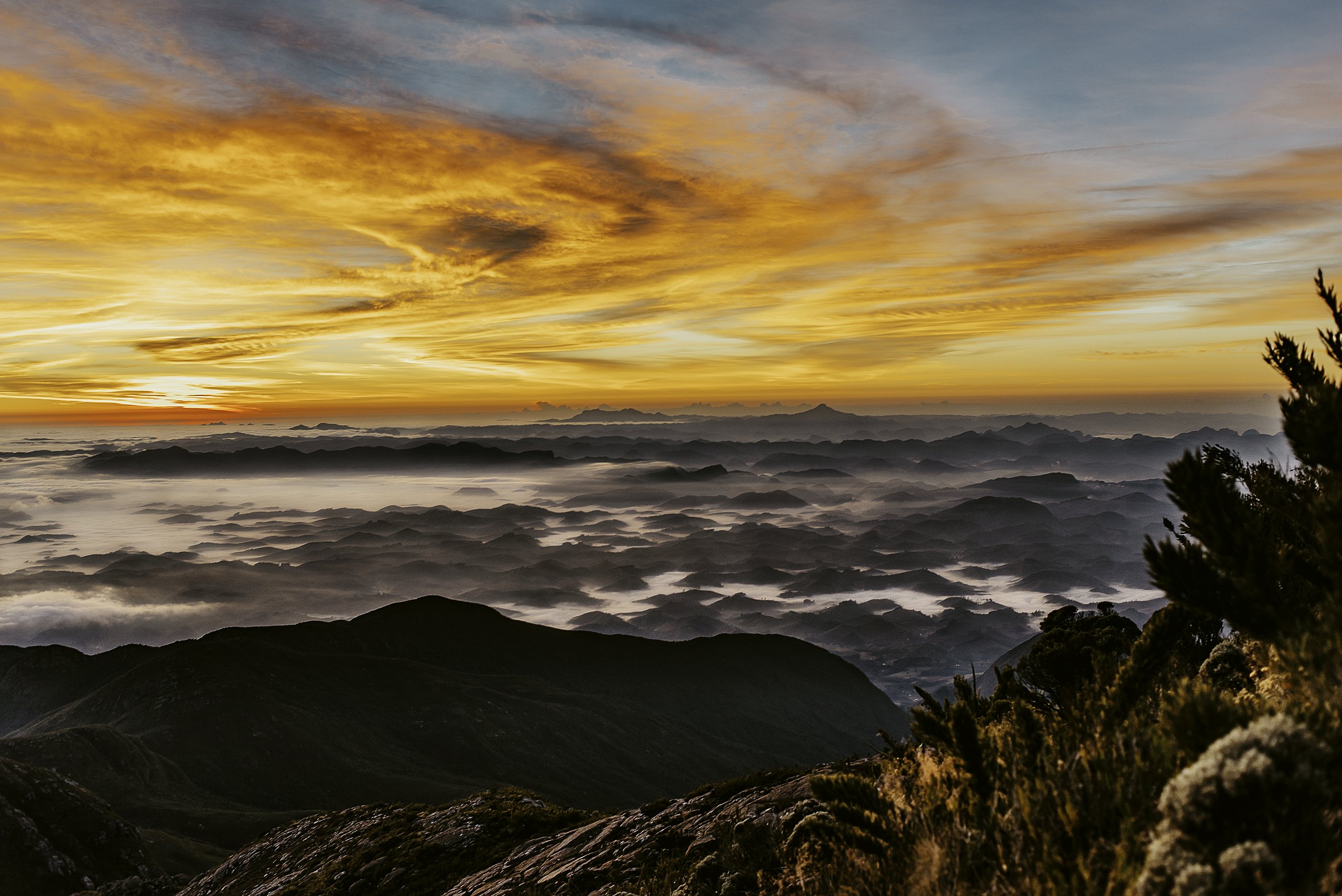 Parque Nacional de Caparaó — Mata Atlântica