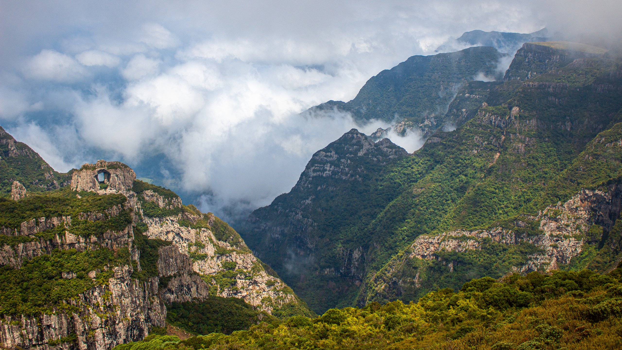 Parque Nacional de São Joaquim — Mata Atlântica
