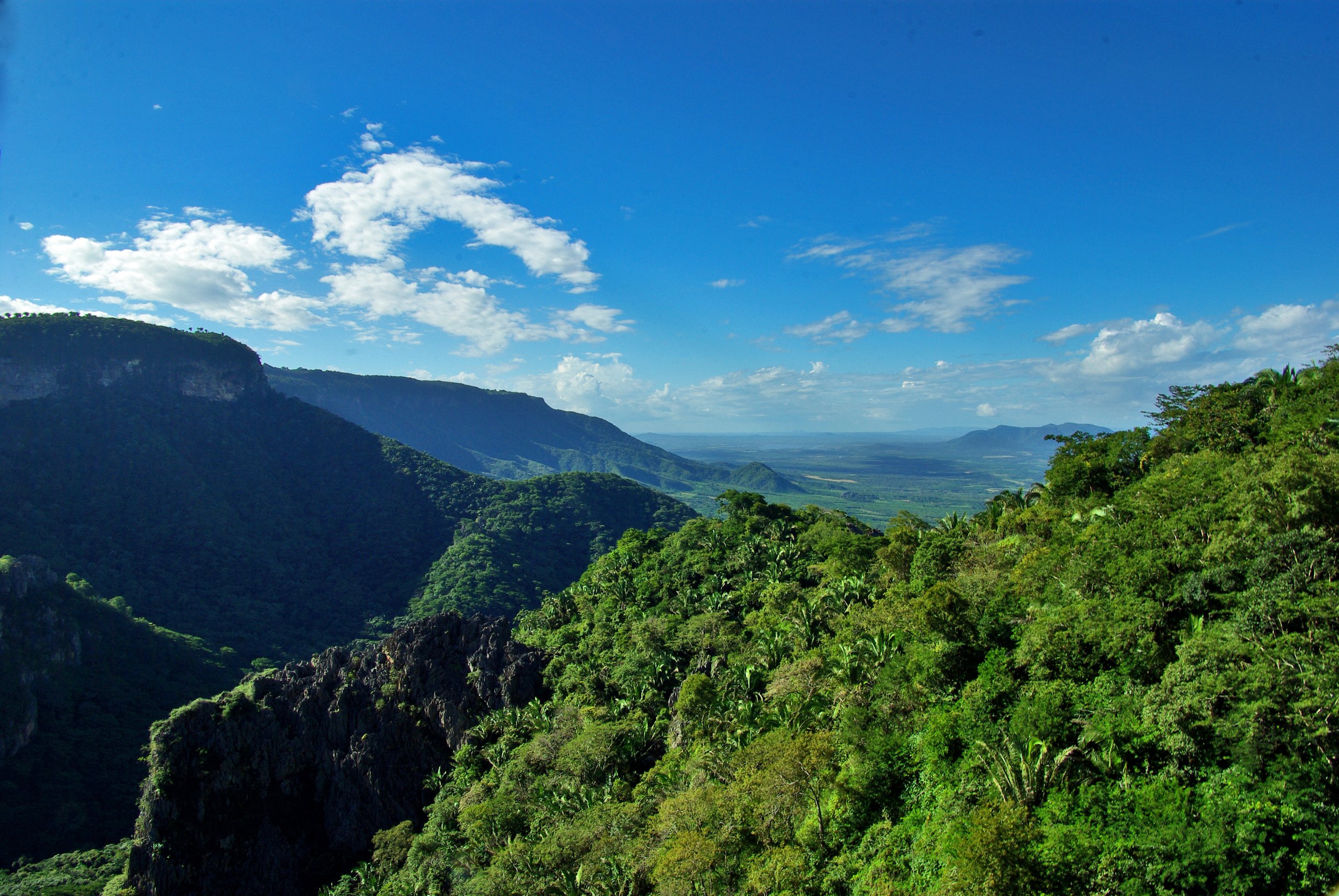 Parque Nacional de Ubajara — Caatinga