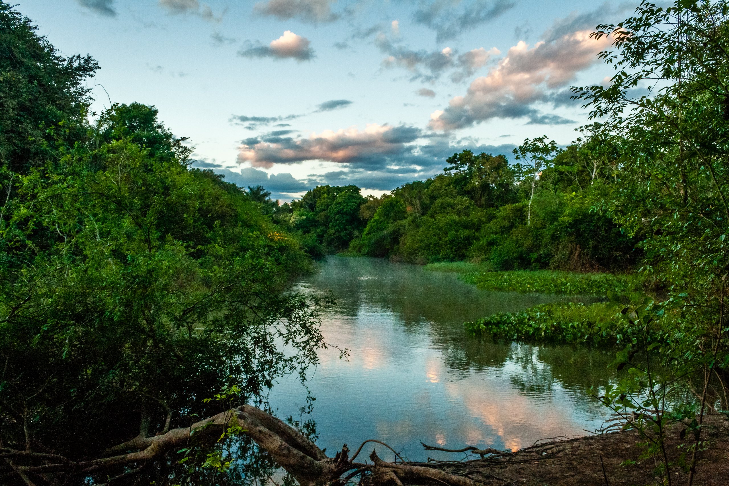 Parque Nacional do Araguaia — Cerrado