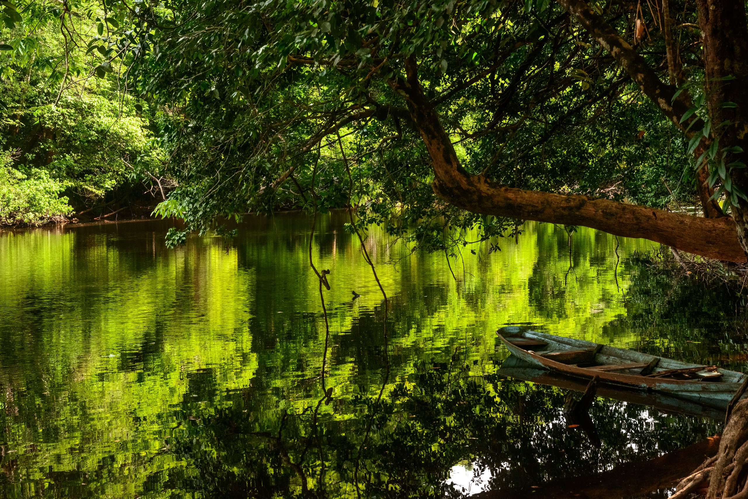 Parque Nacional do Cabo Orange — Amazônia