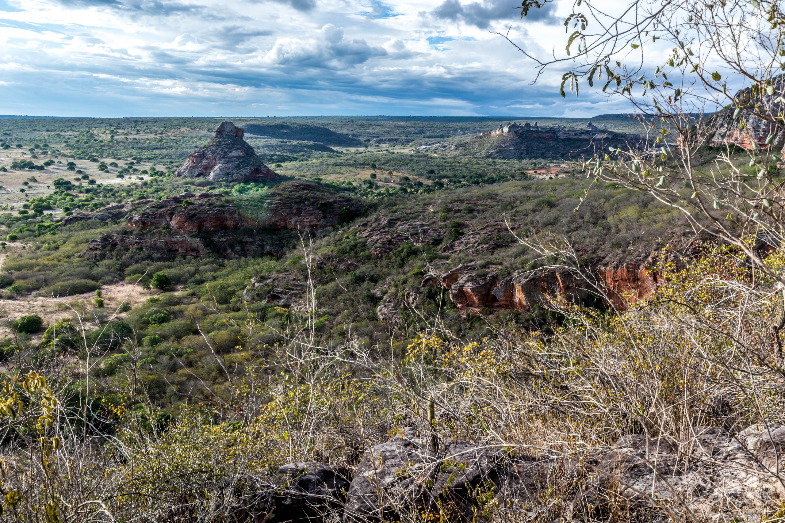 Parque Nacional do Catimbau — Caatinga