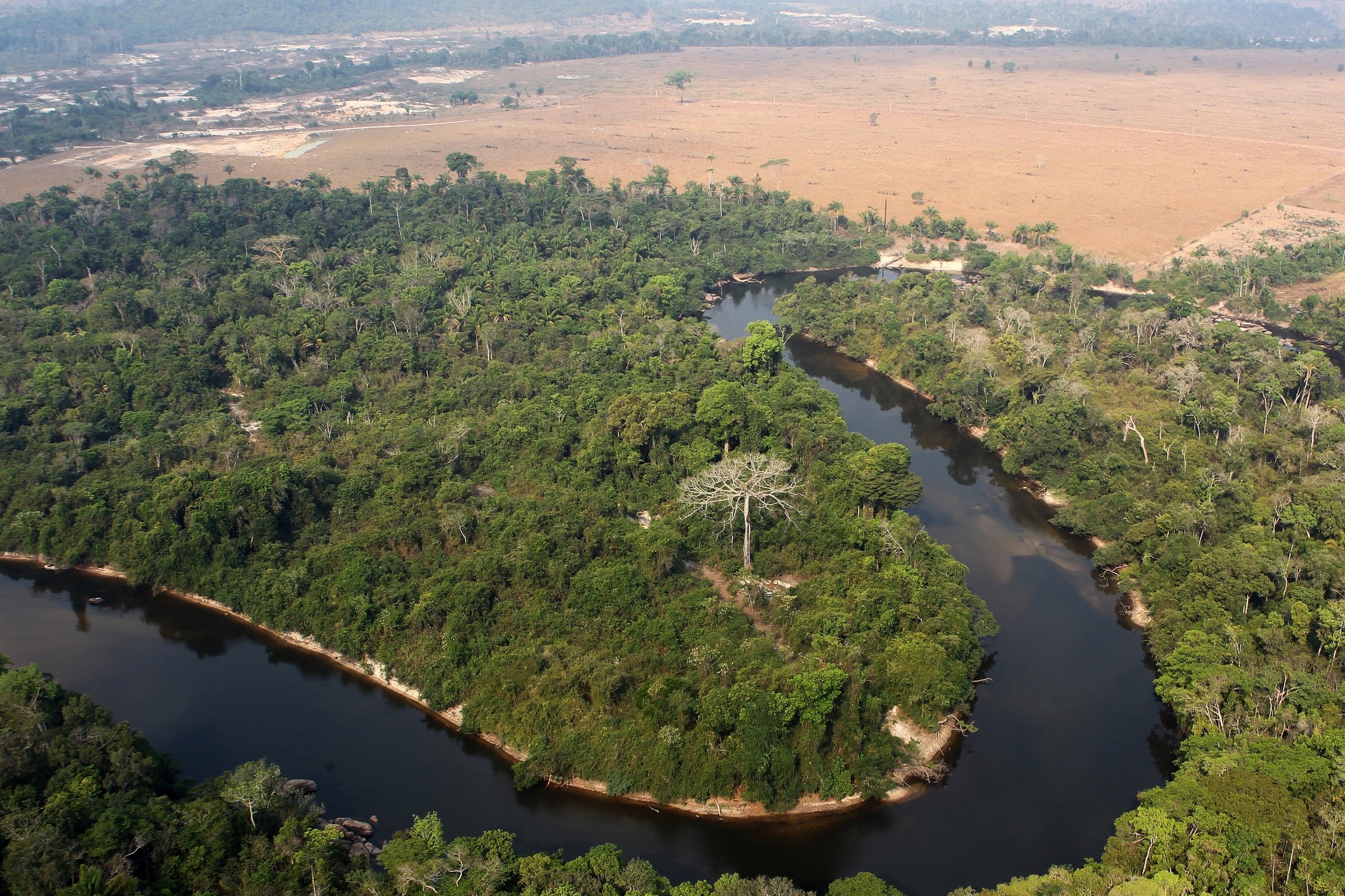Parque Nacional do Jamanxim — Amazônia