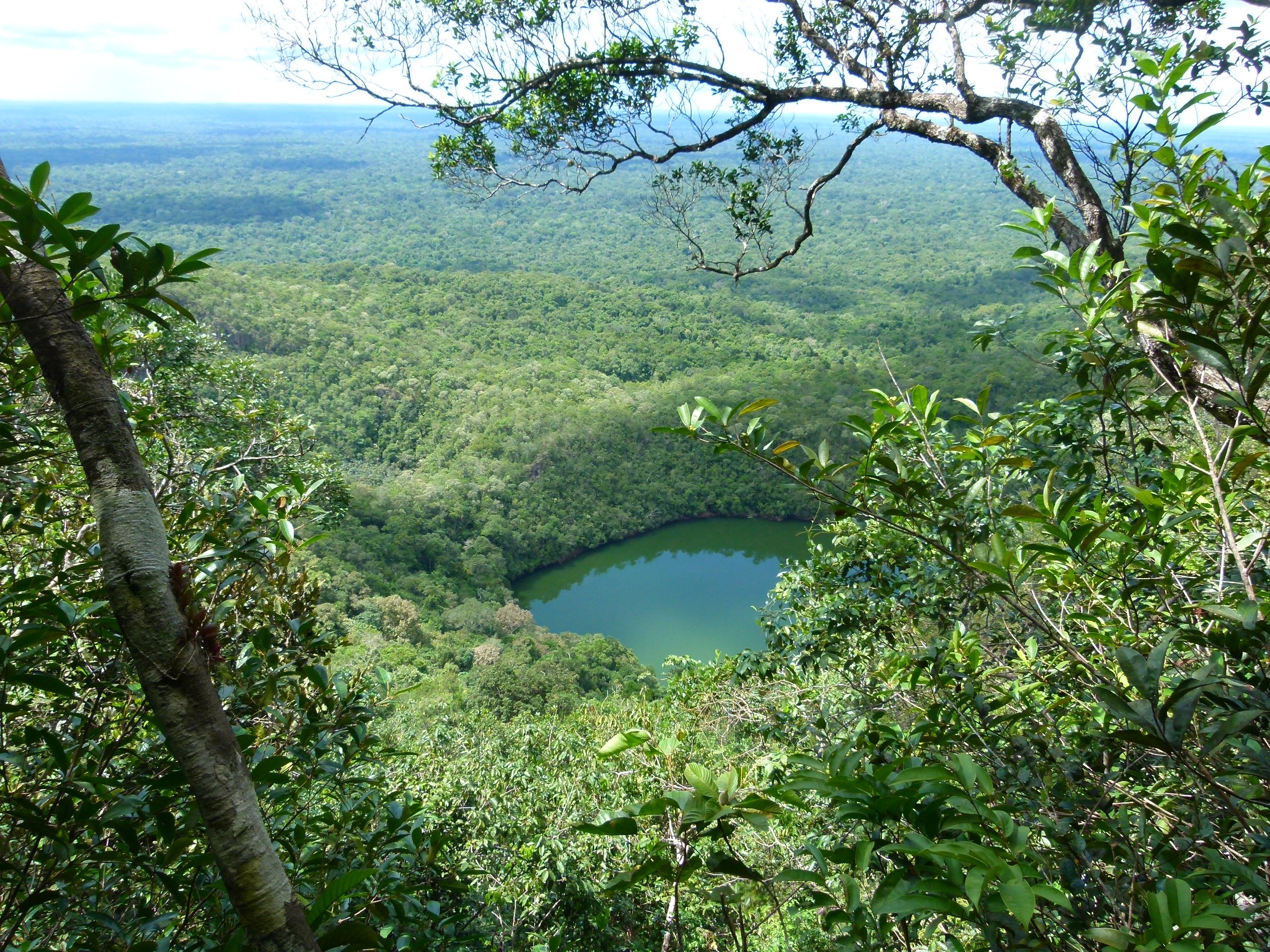 Parque Nacional do Pico da Neblina — Amazônia