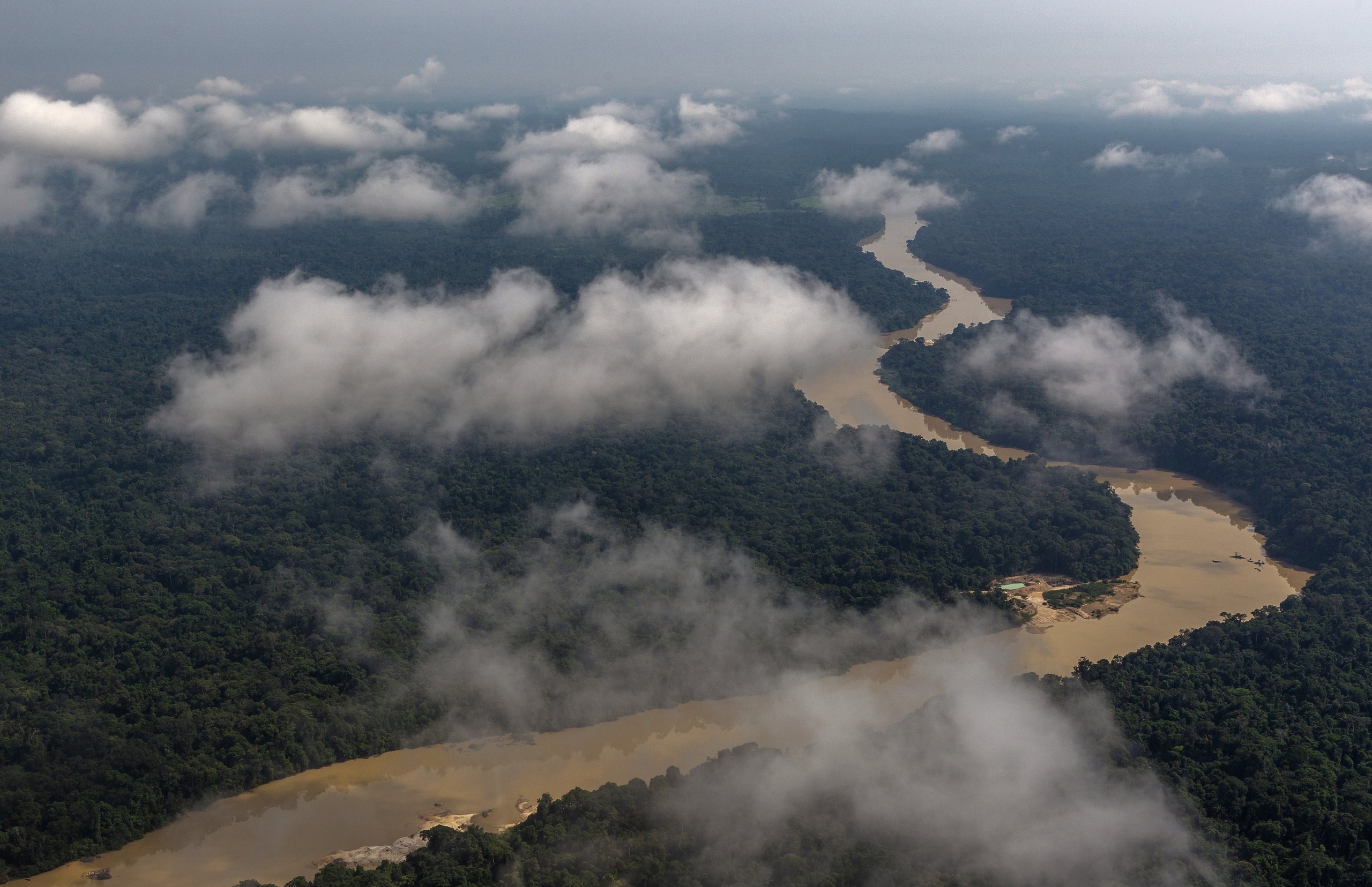 Parque Nacional do Rio Novo — Amazônia