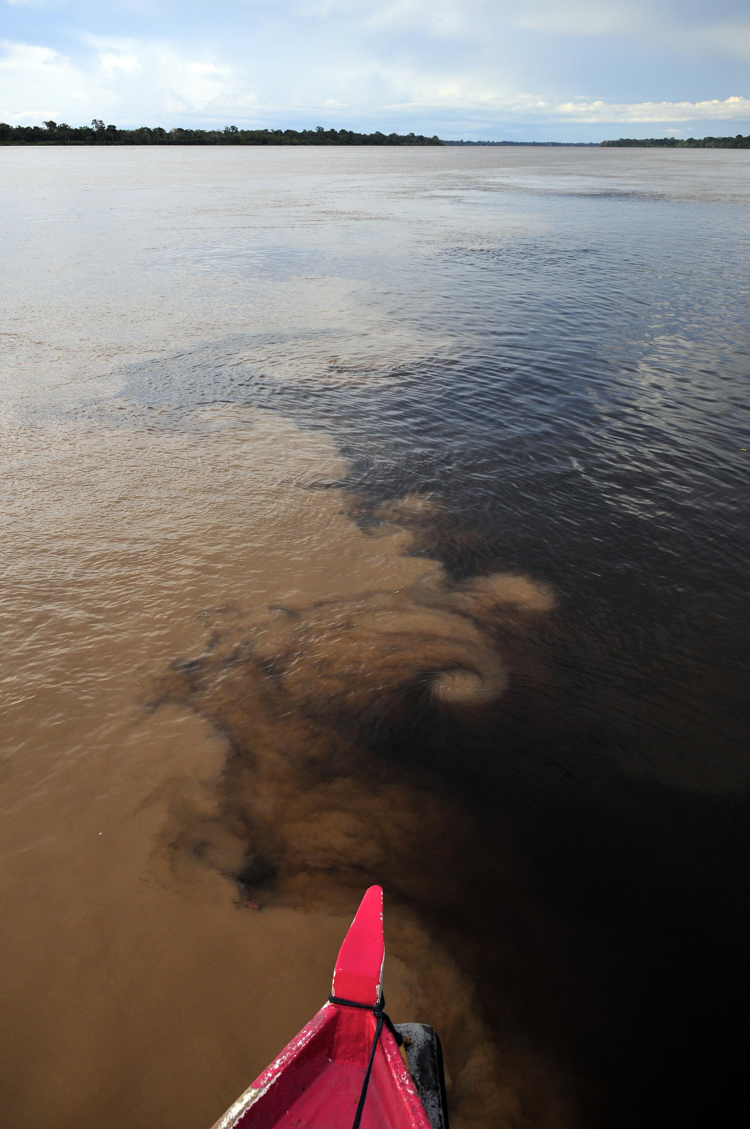 Parque Nacional dos Campos Amazônicos — Amazônia