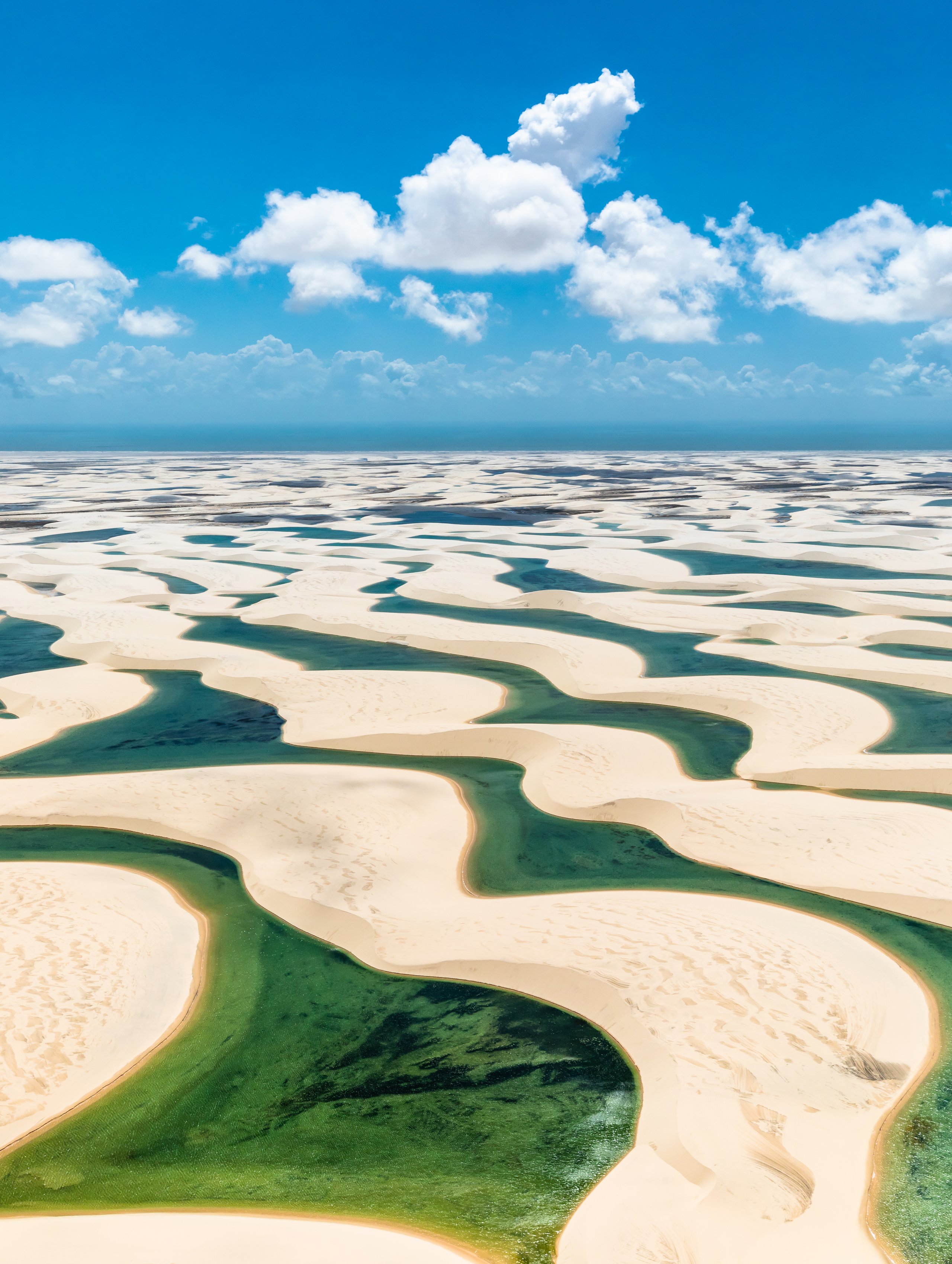 Parque Nacional dos Lençóis Maranhenses — Cerrado