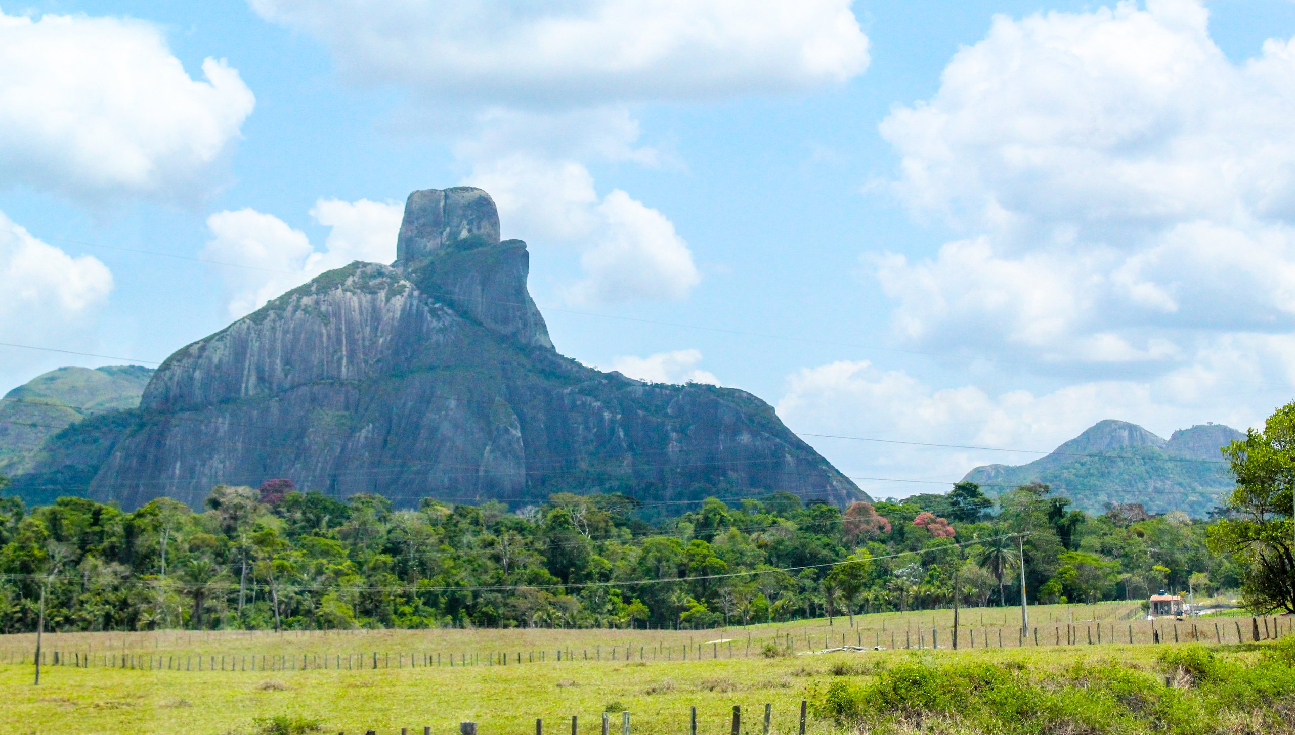 Parque Nacional e Histórico do Monte Pascoal — Mata Atlântica