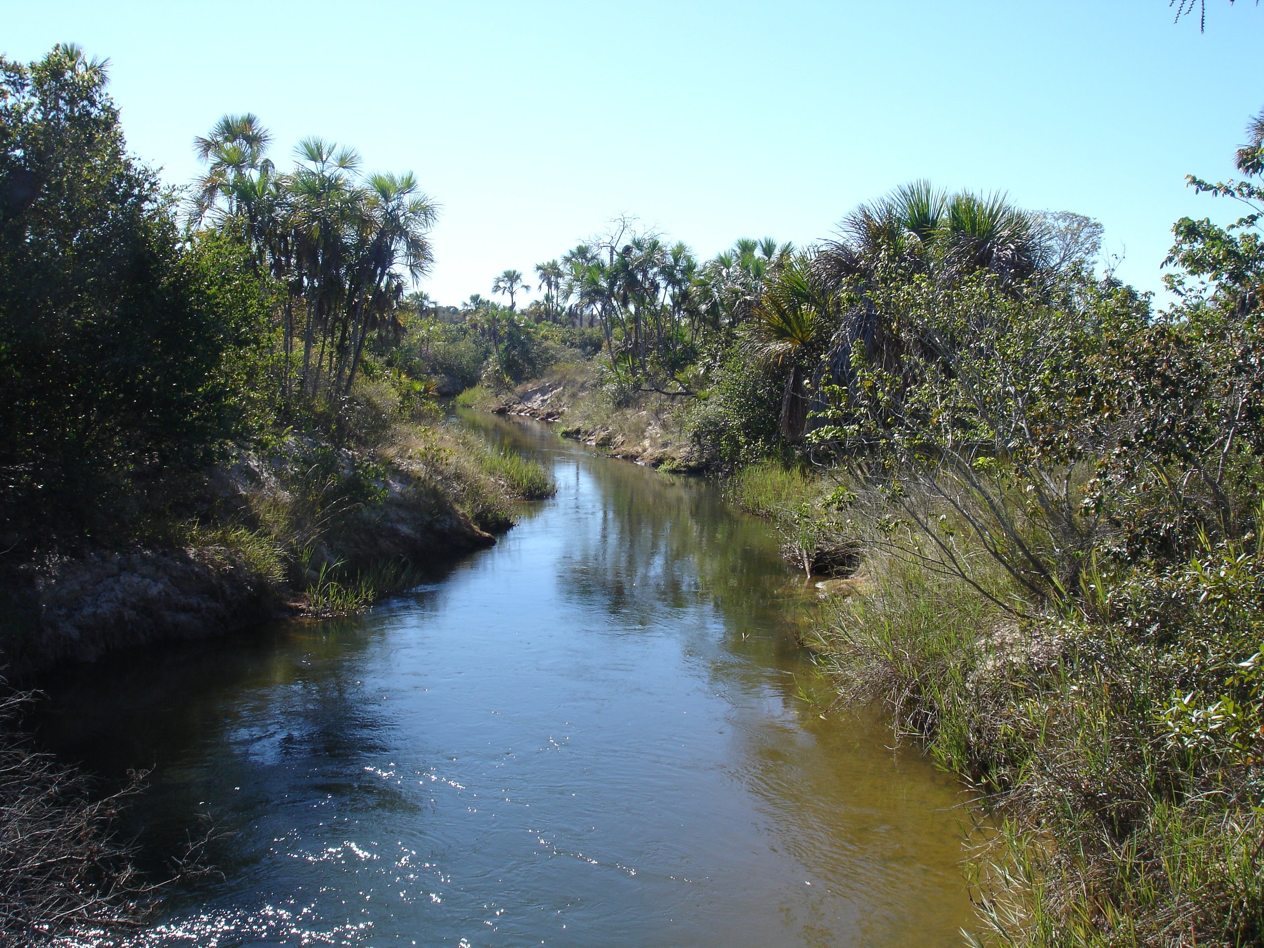Parque Nacional Grande Sertão Veredas — Cerrado