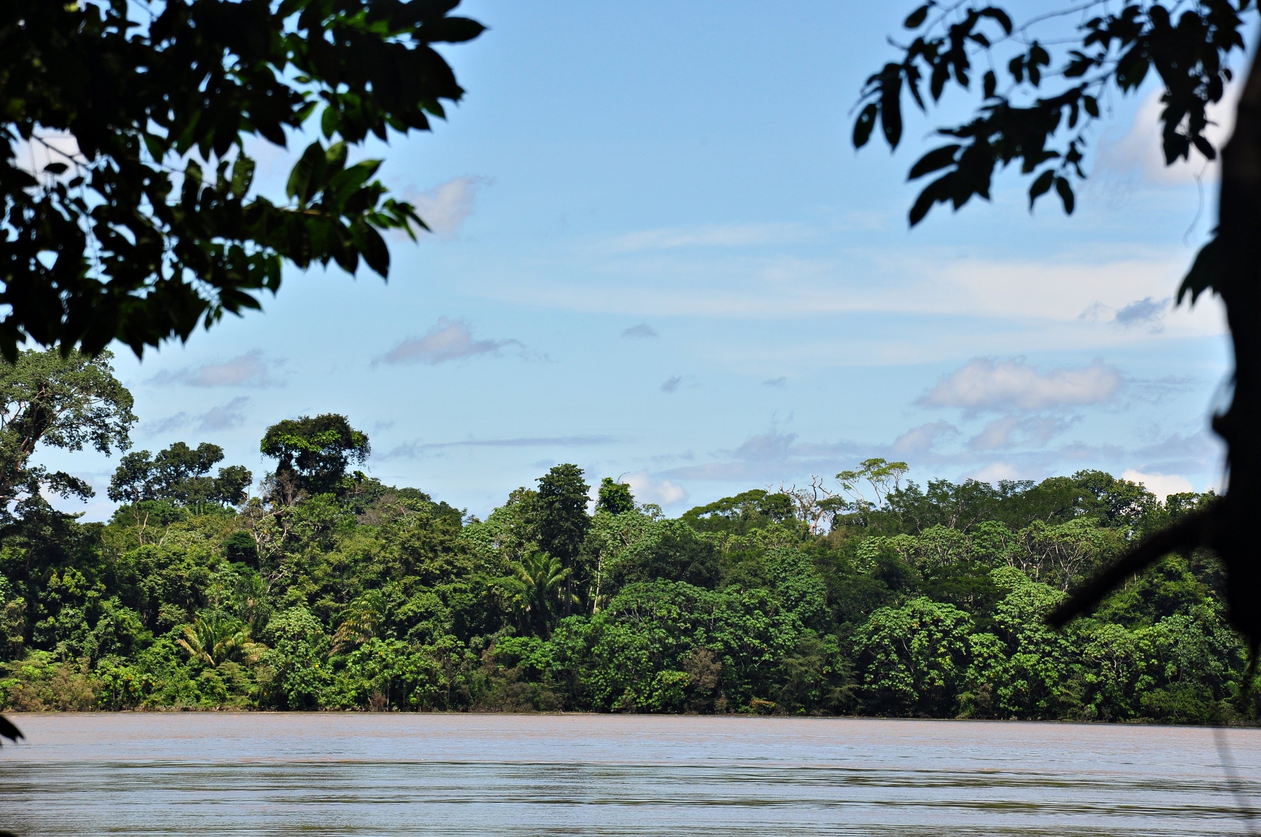 Parque Nacional Mapinguari — Amazônia