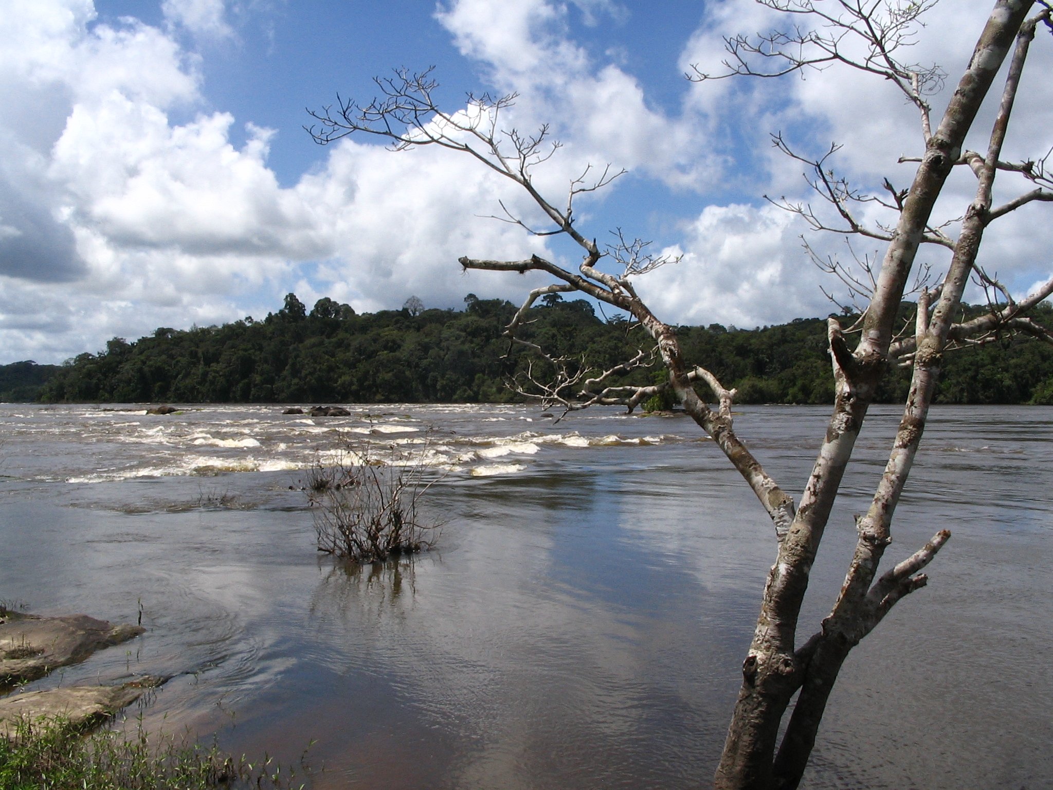 Parque Nacional Montanhas do Tumucumaque — Amazônia
