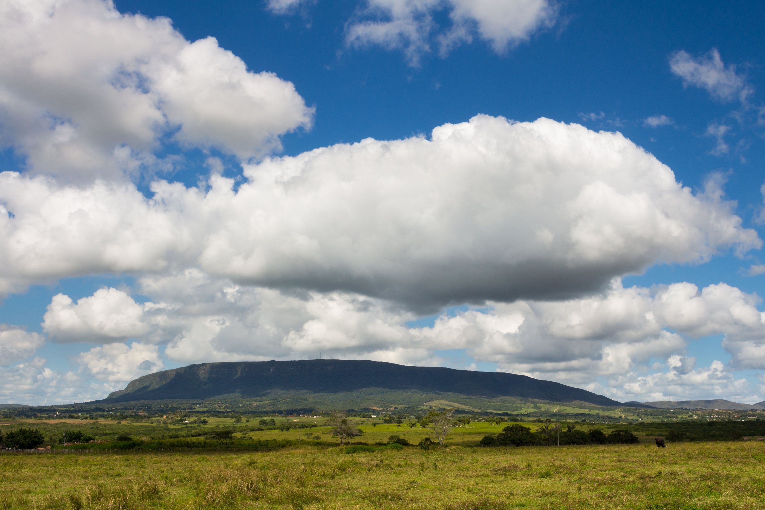 Parque Nacional Serra de Itabaiana — Mata Atlântica
