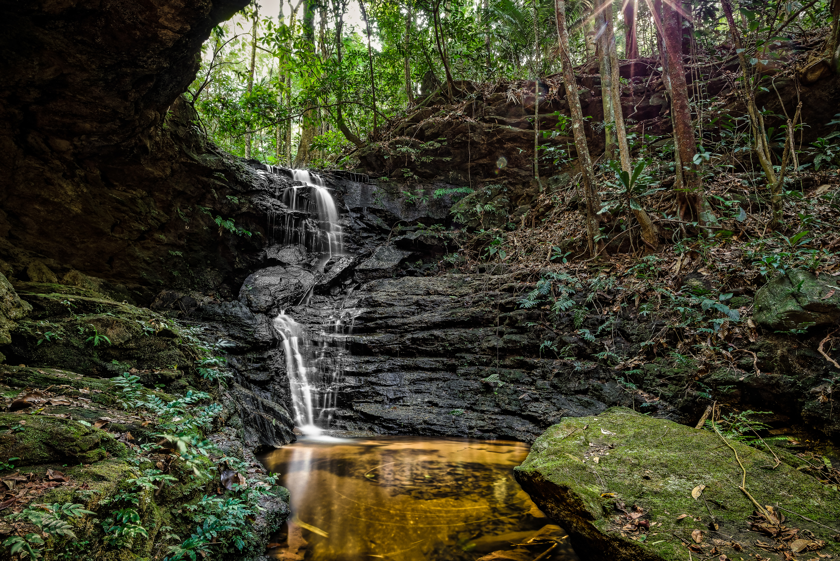 Parque Natural Municipal Atalaia Gualter Corrêa de Faria — Mata Atlântica