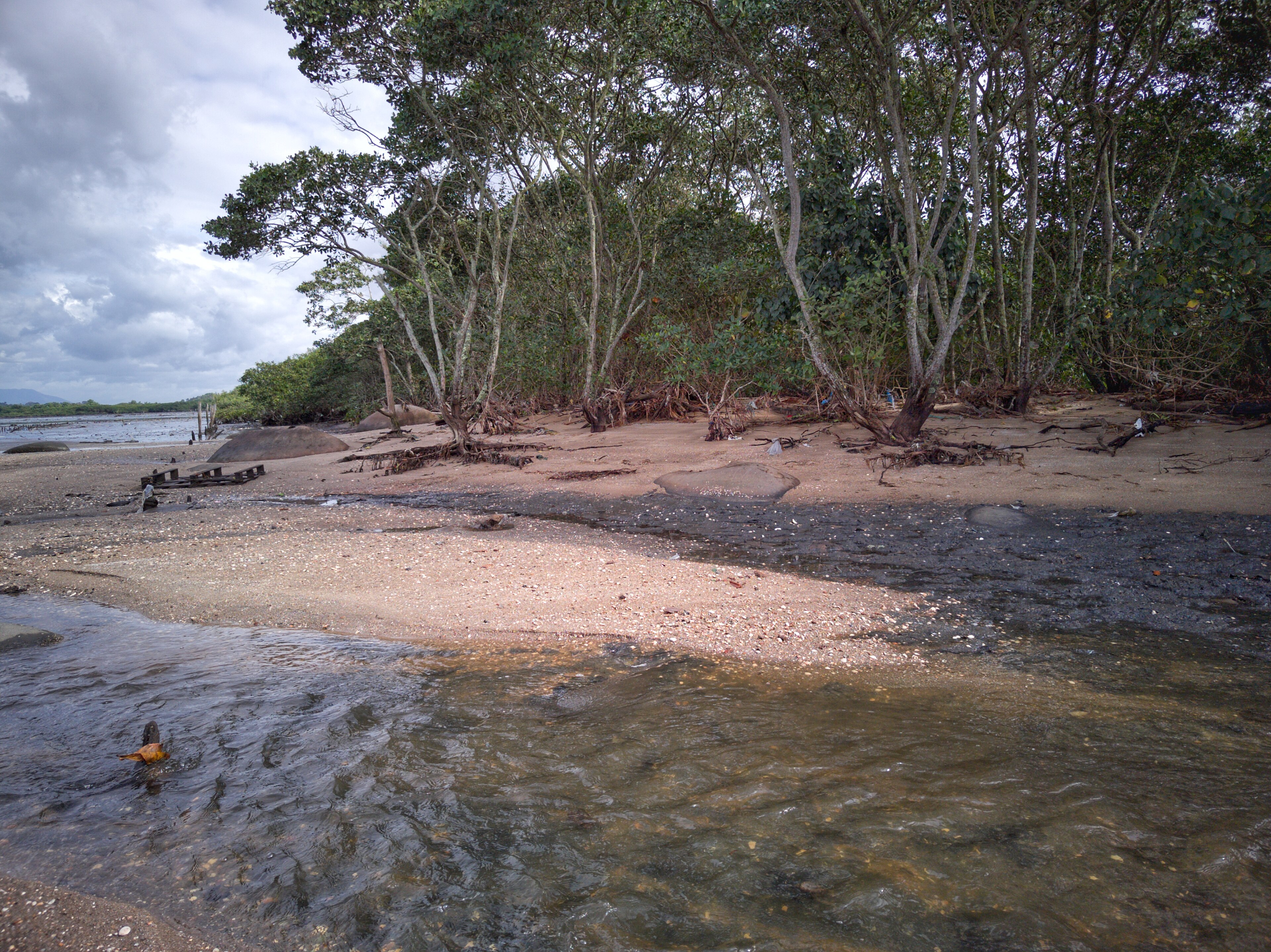 Parque Natural Municipal Barão de Mauá — Área Marinha