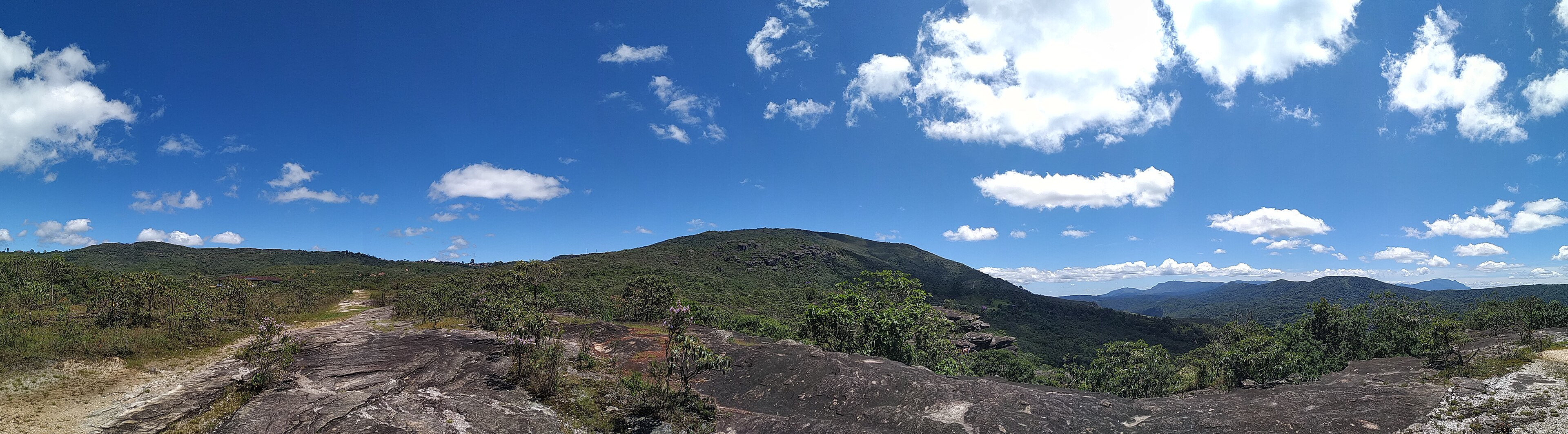 Parque Natural Municipal das Andorinhas — Mata Atlântica