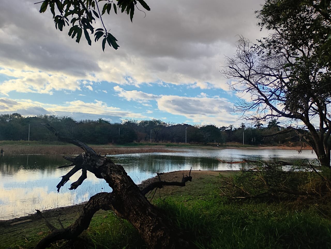 Parque Natural Municipal das Timbaúbas — Caatinga
