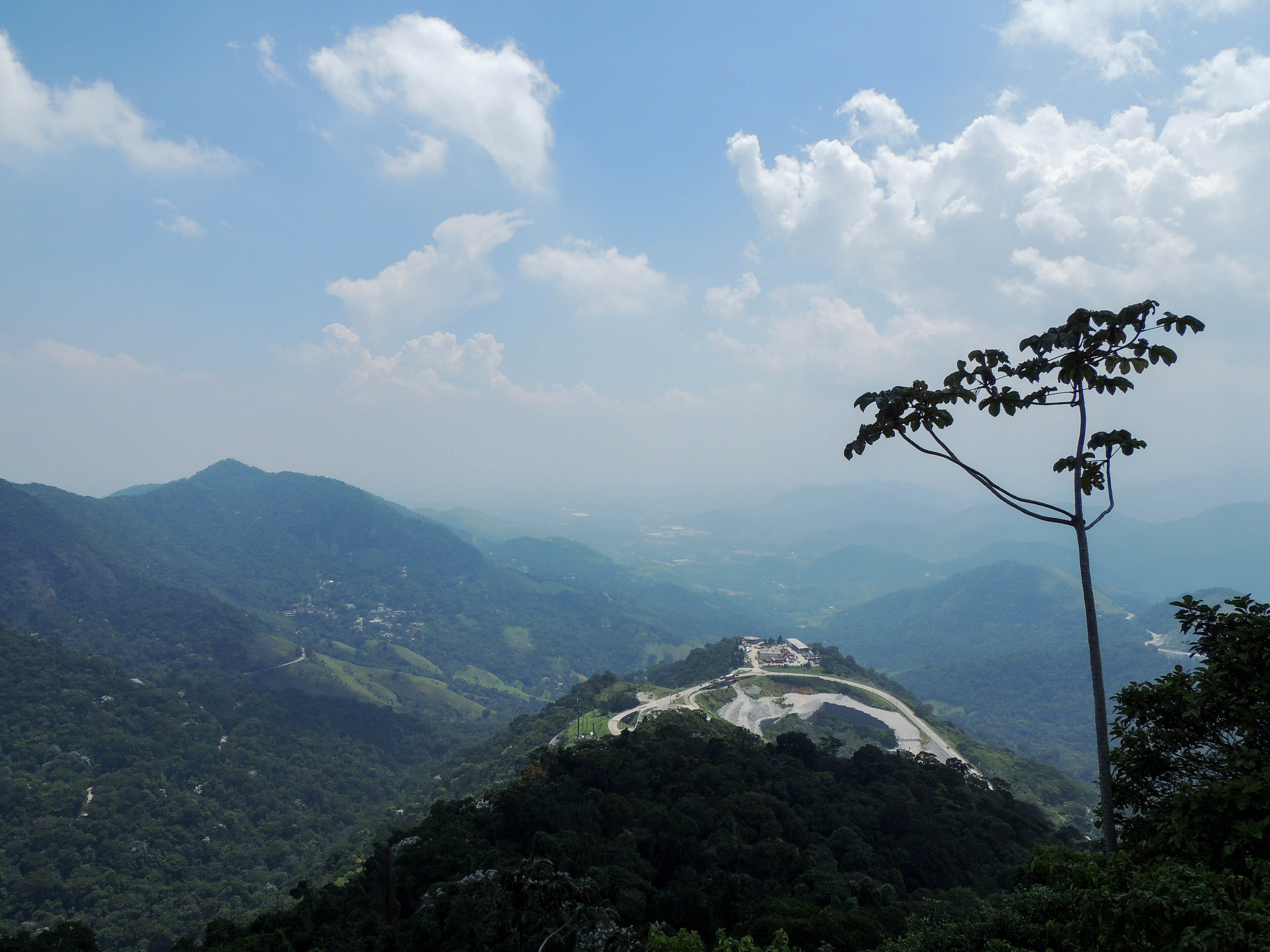 Parque Natural Municipal de Petrópolis — Mata Atlântica