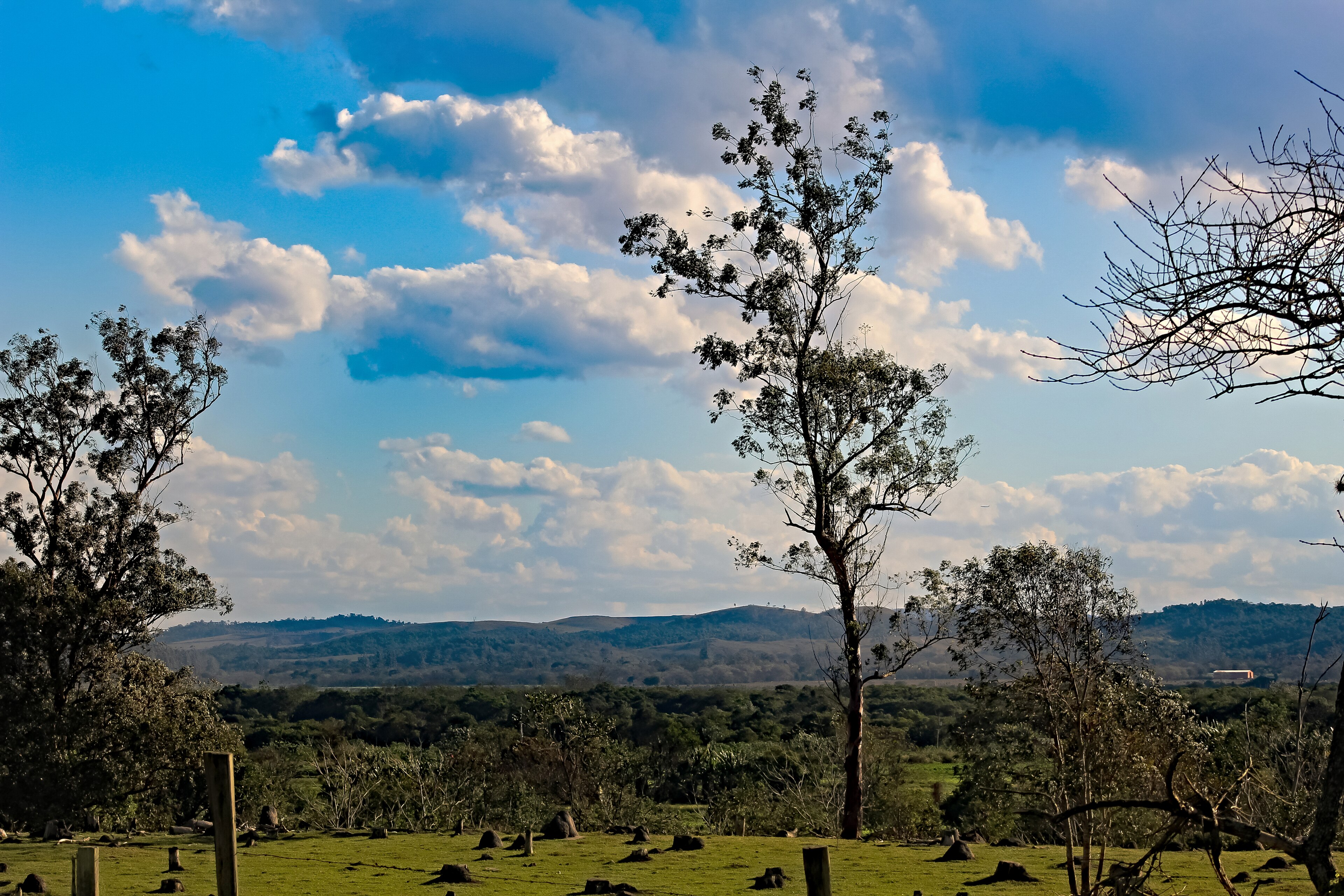 Parque Natural Municipal do Banhado — Mata Atlântica