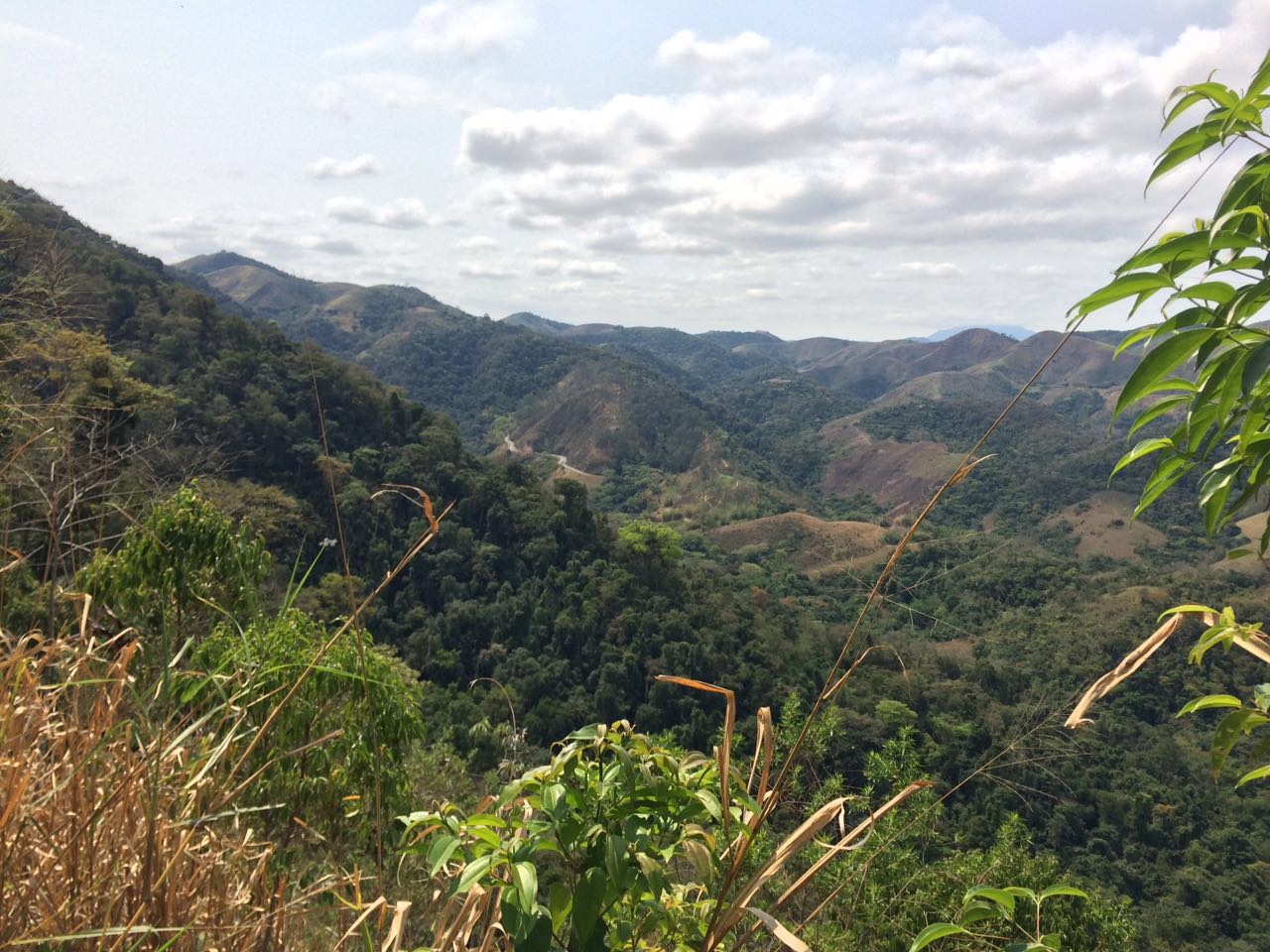Parque Natural Municipal do Curió — Mata Atlântica