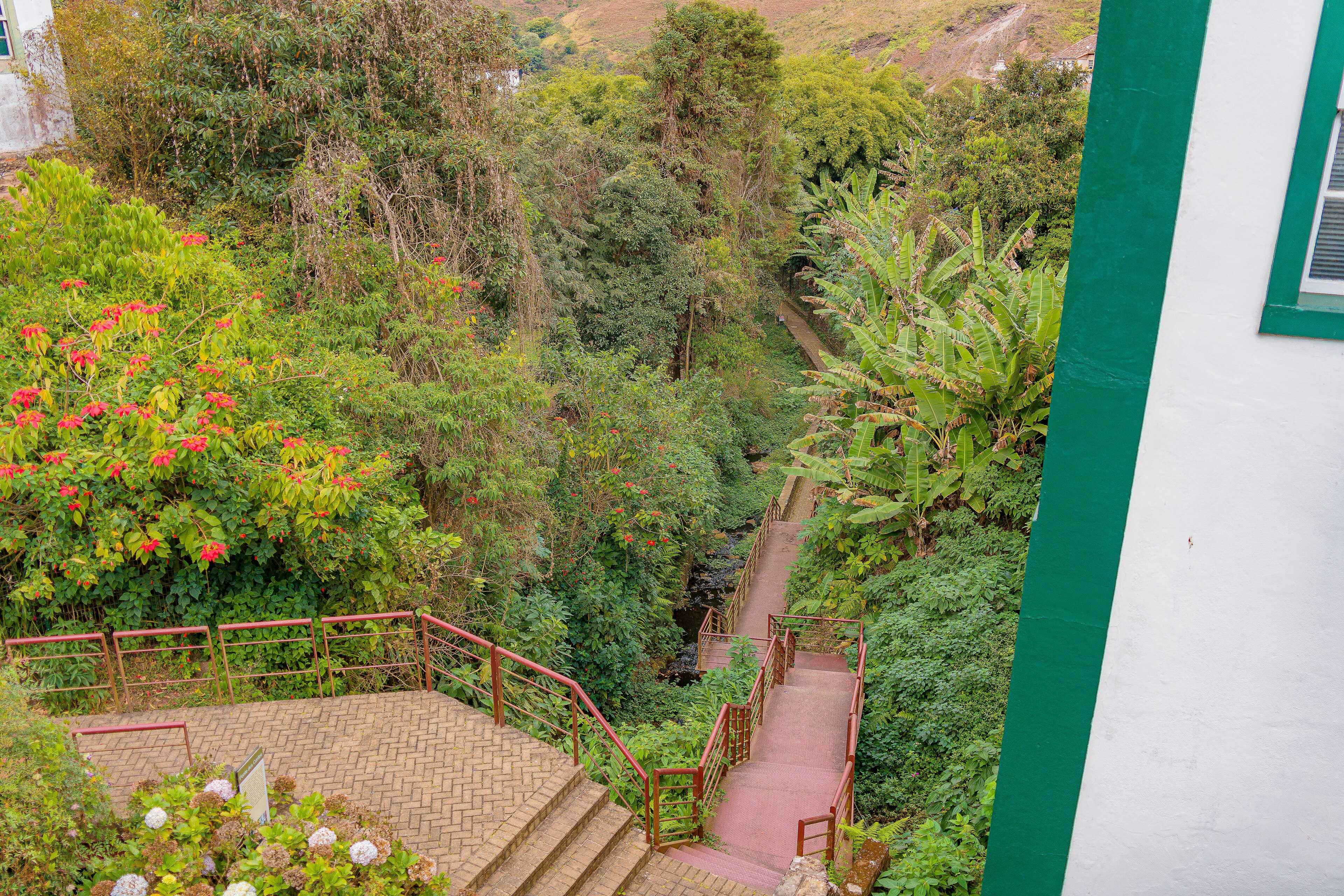 Parque Natural Municipal do Horto dos Contos — Mata Atlântica