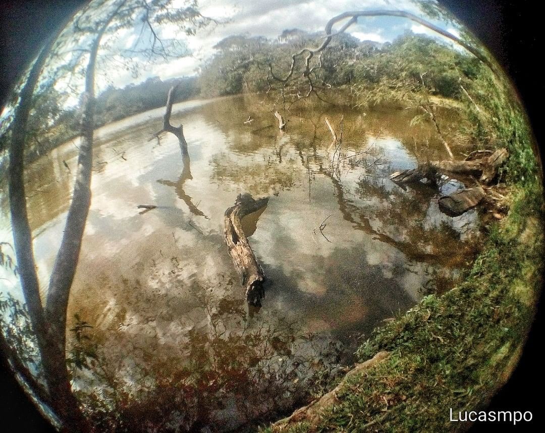 Parque Natural Municipal Fazenda do Carmo — Mata Atlântica