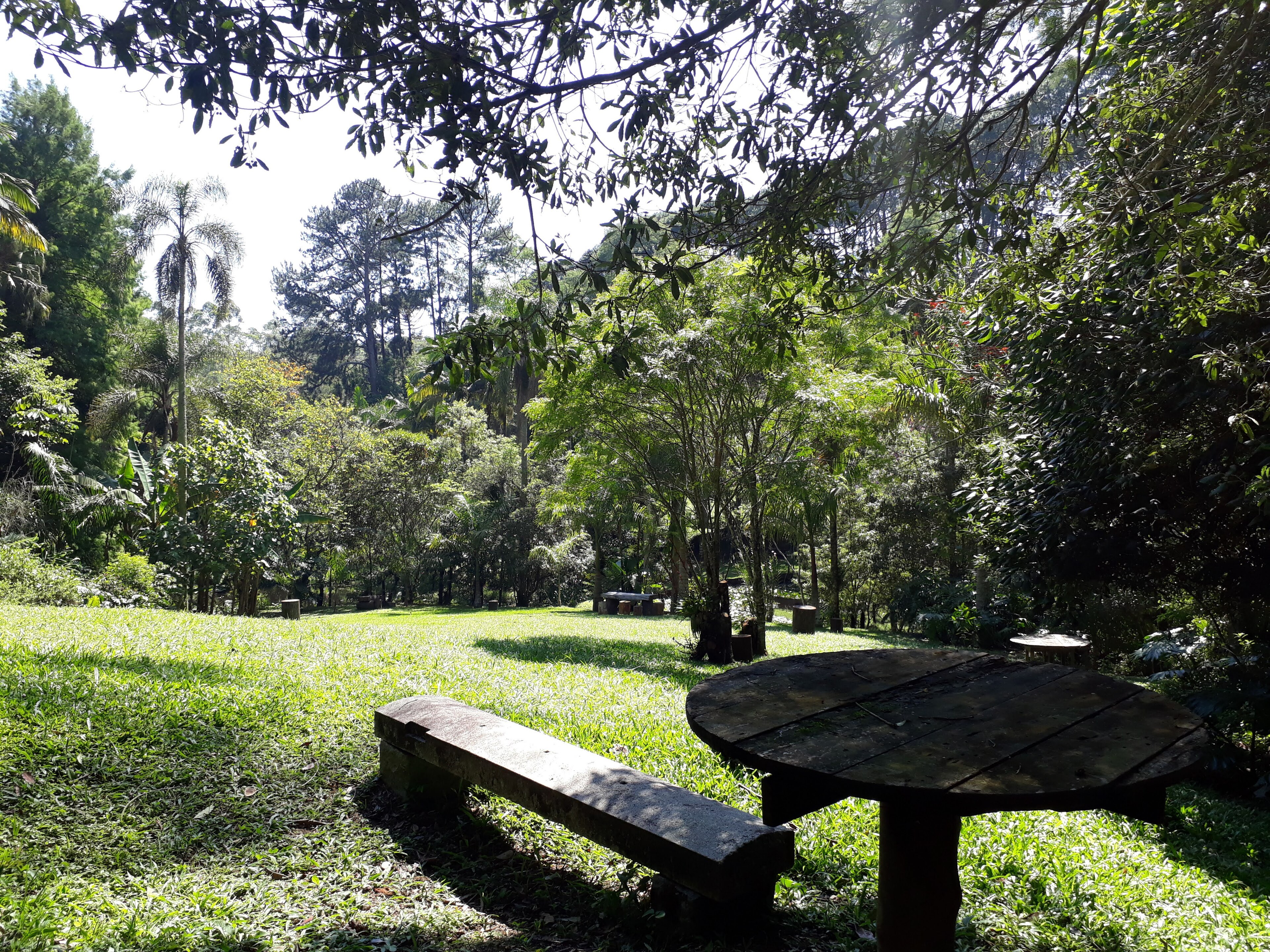 Parque Natural Municipal Itaim — Mata Atlântica