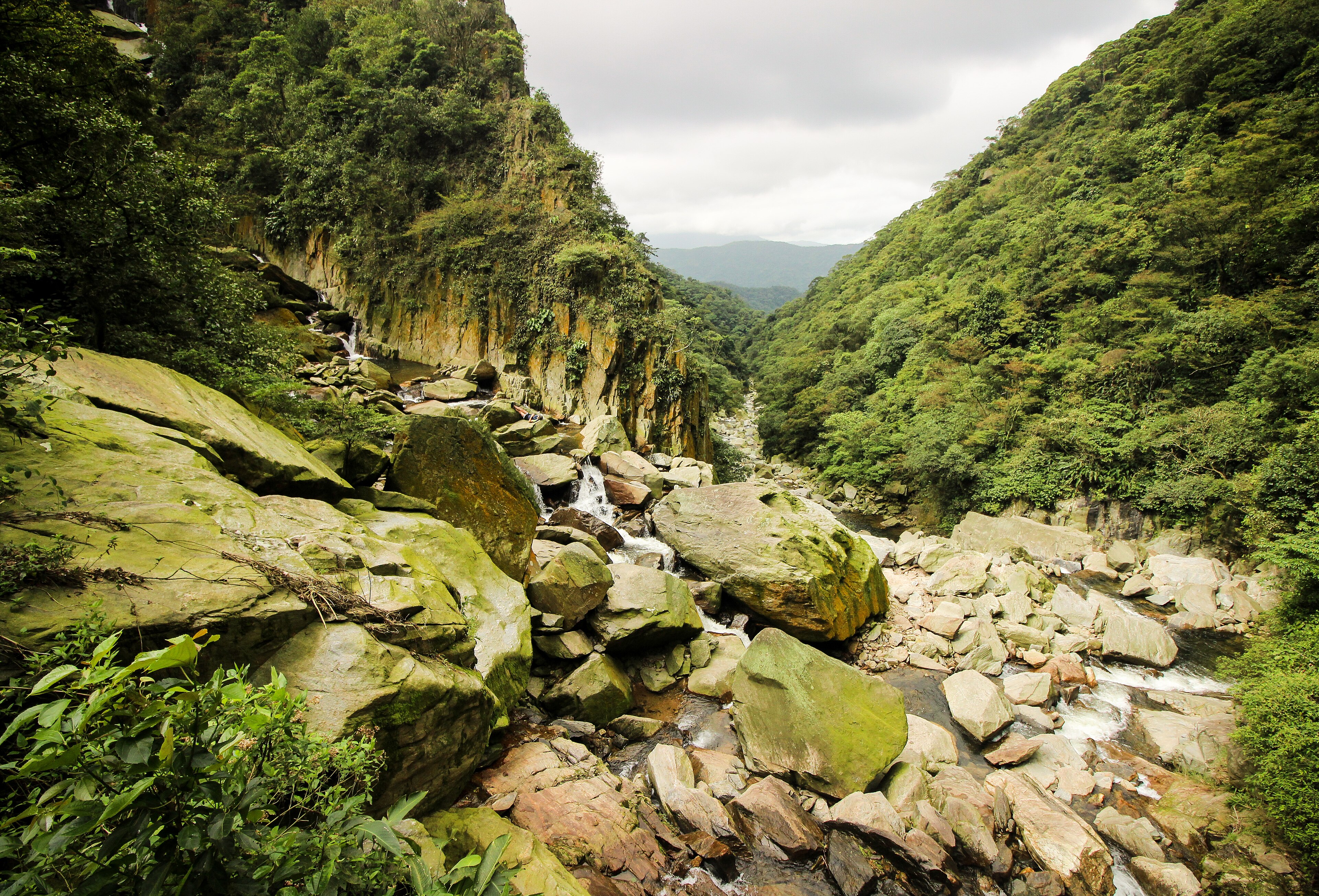 Parque Natural Municipal Nascentes de Paranapiacaba — Mata Atlântica