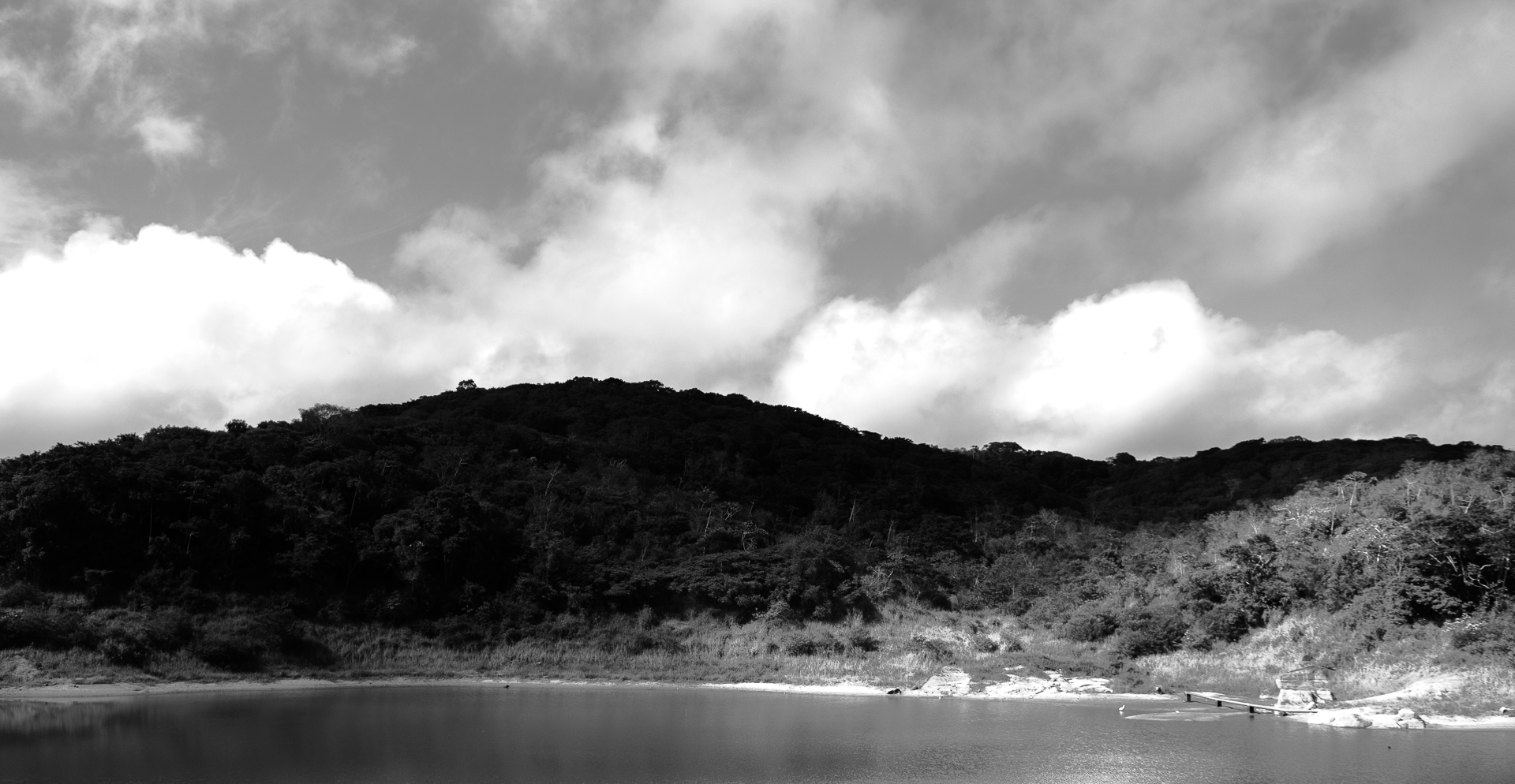 Parque Natural Municipal Professor João Vasconcelos Sobrinho — Mata Atlântica