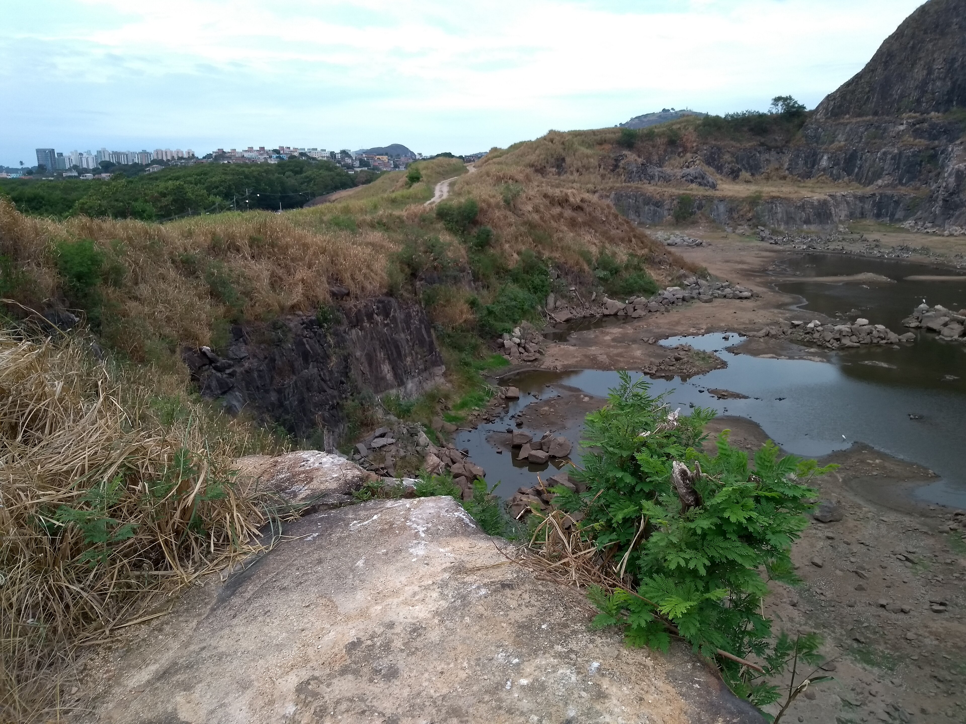 Parque Natural Municipal Vale do Mulembá — Mata Atlântica