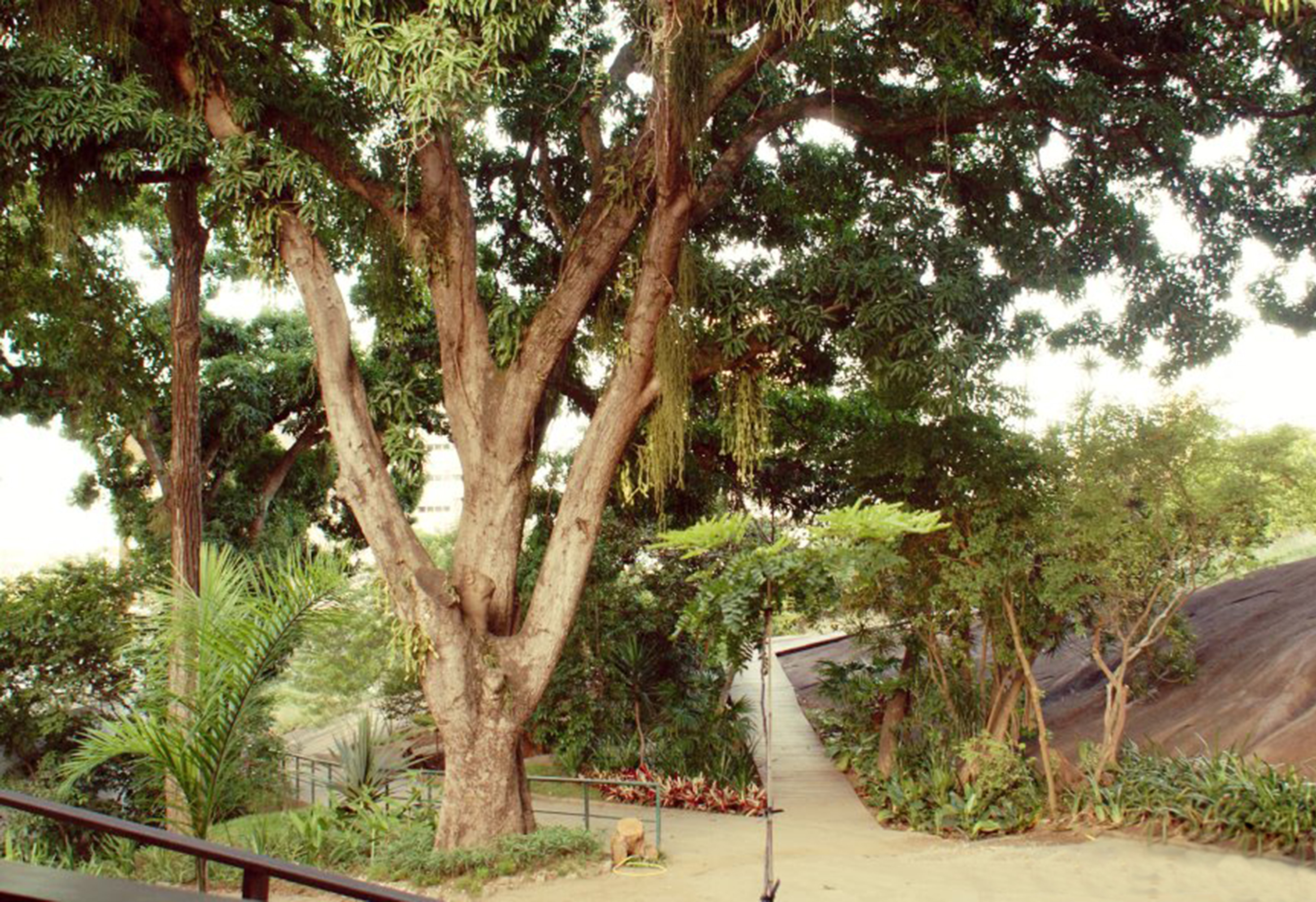 Parque Natural Municipal Von Schilgen — Mata Atlântica