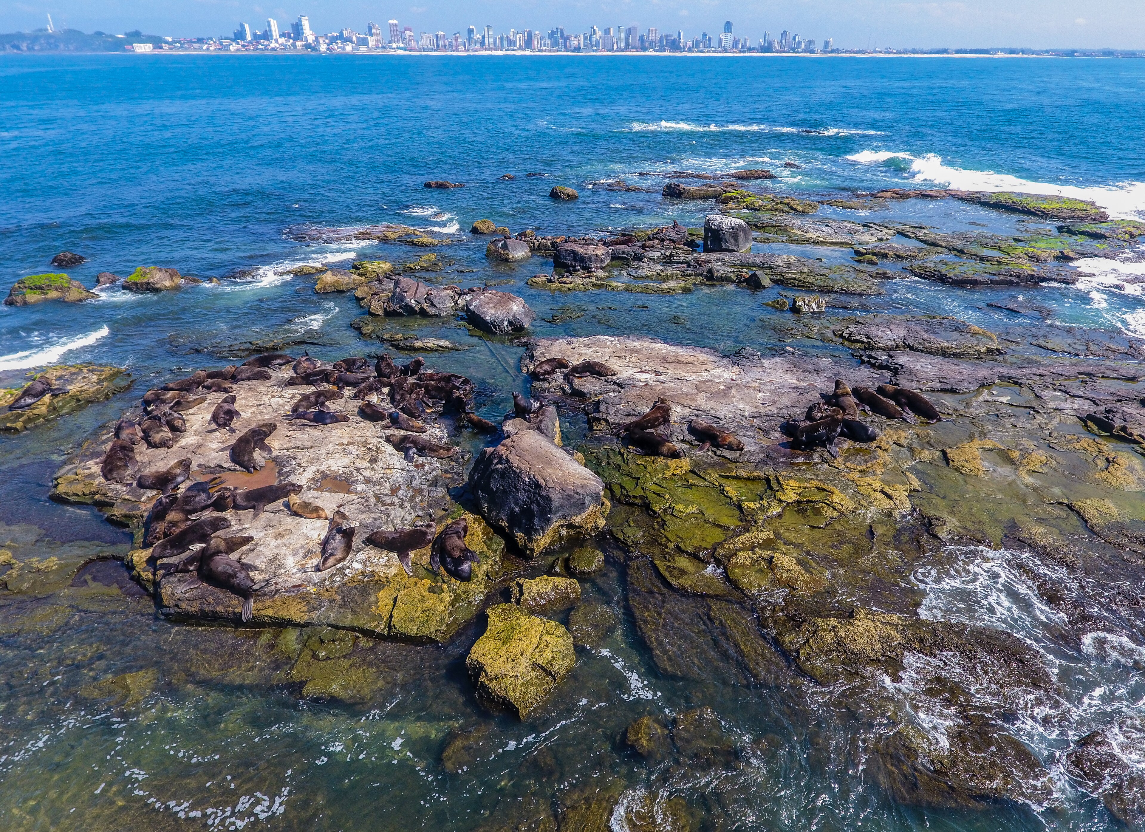 Refúgio de Vida Silvestre da Ilha dos Lobos — Área Marinha