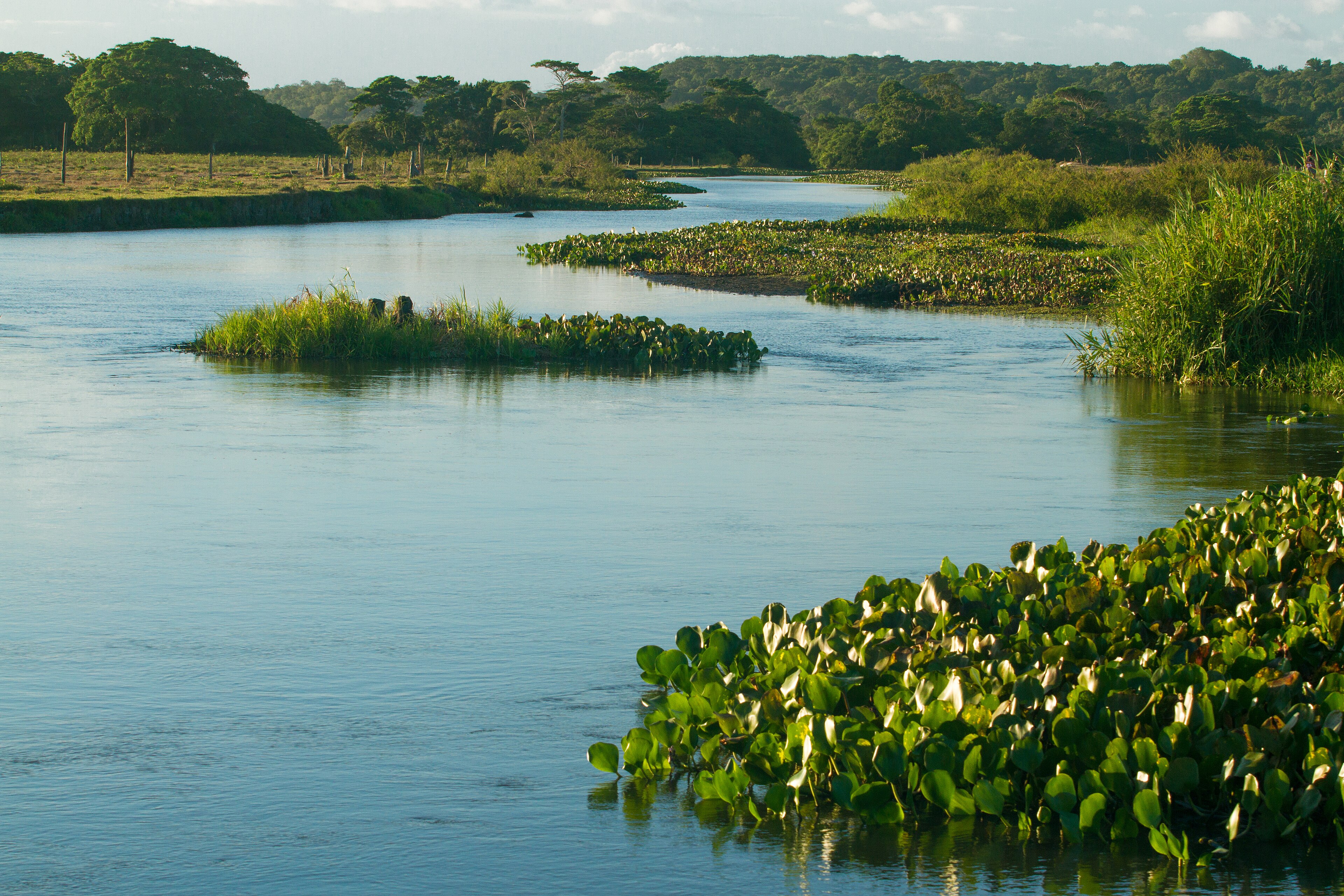 Refúgio de Vida Silvestre do Rio dos Frades — Mata Atlântica