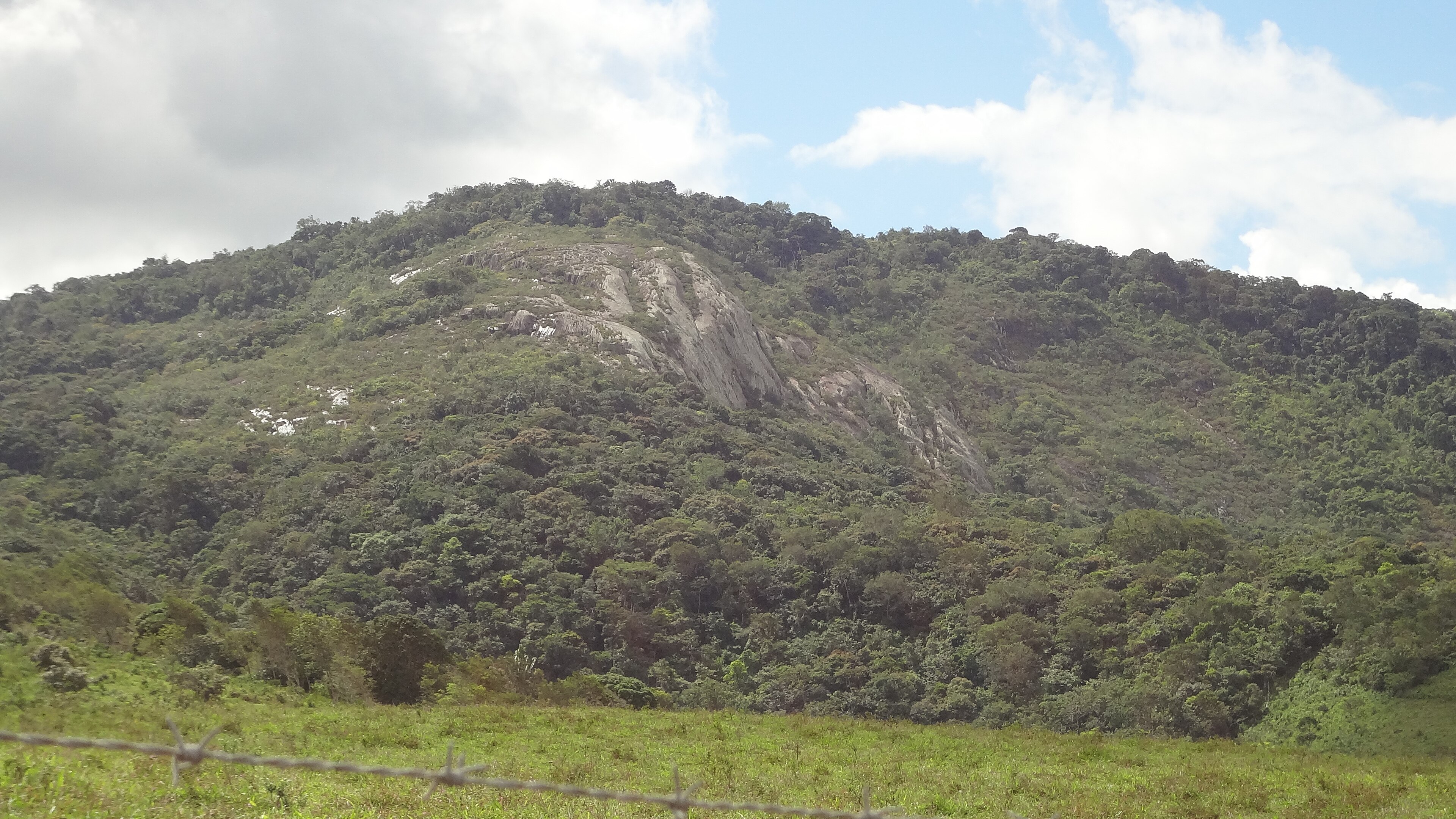 Reserva Biológica de Pedra Talhada — Mata Atlântica