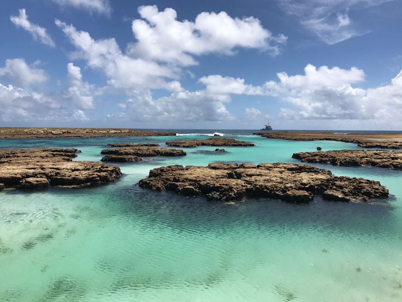 Reserva Biológica do Atol das Rocas — Área Marinha