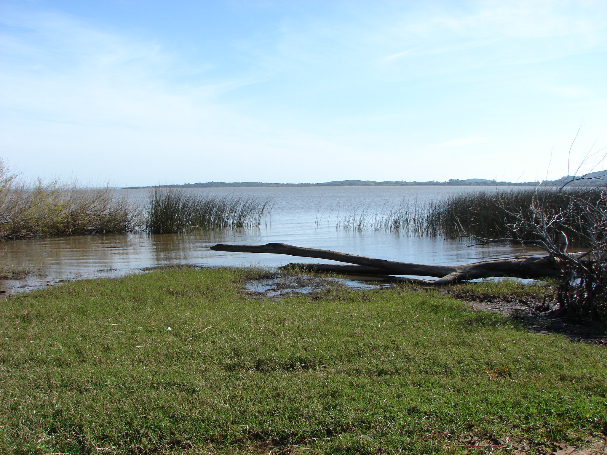 Reserva Biológica do Lami José Lutzenberger — Pampa