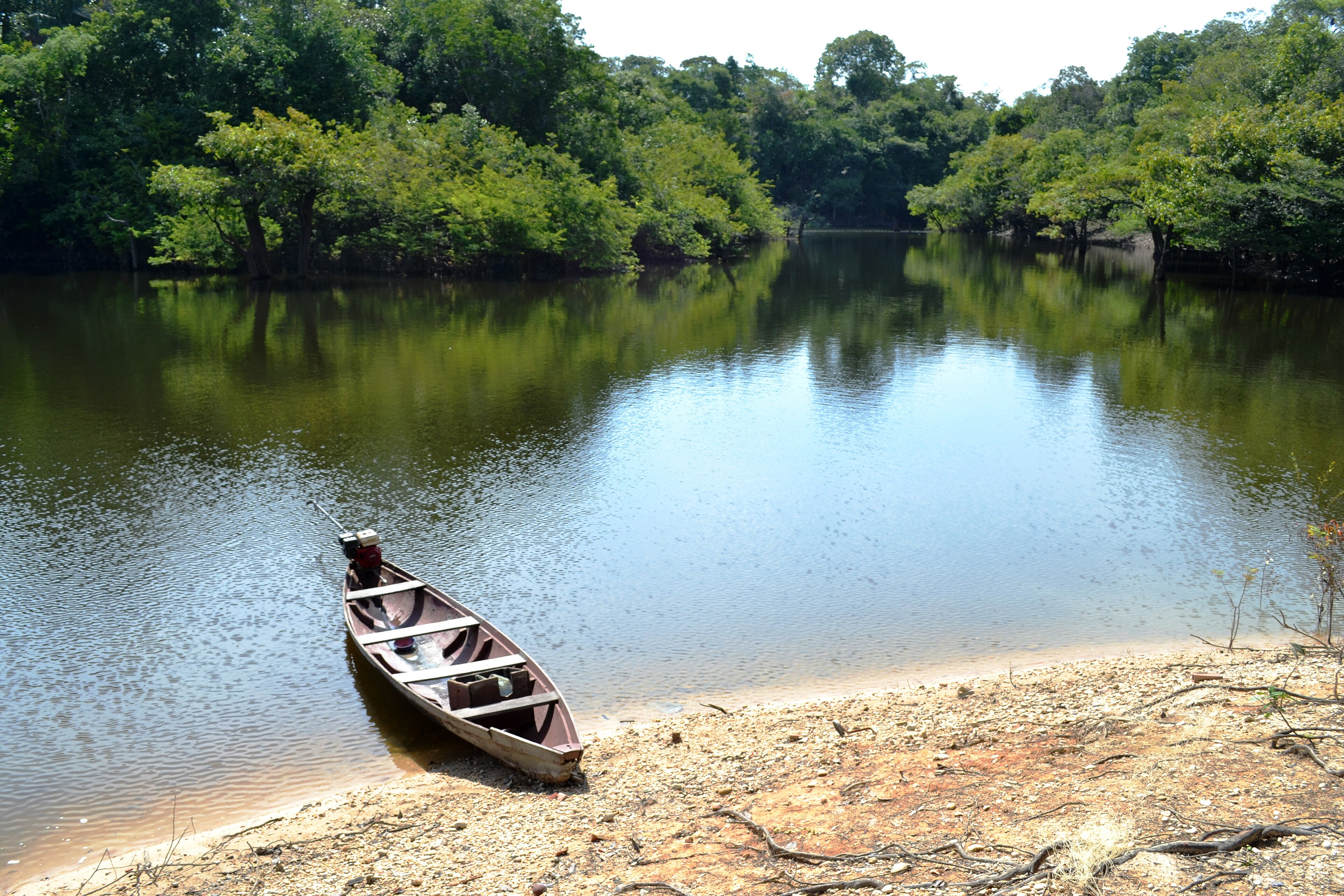 Reserva Biológica do Rio Trombetas — Amazônia