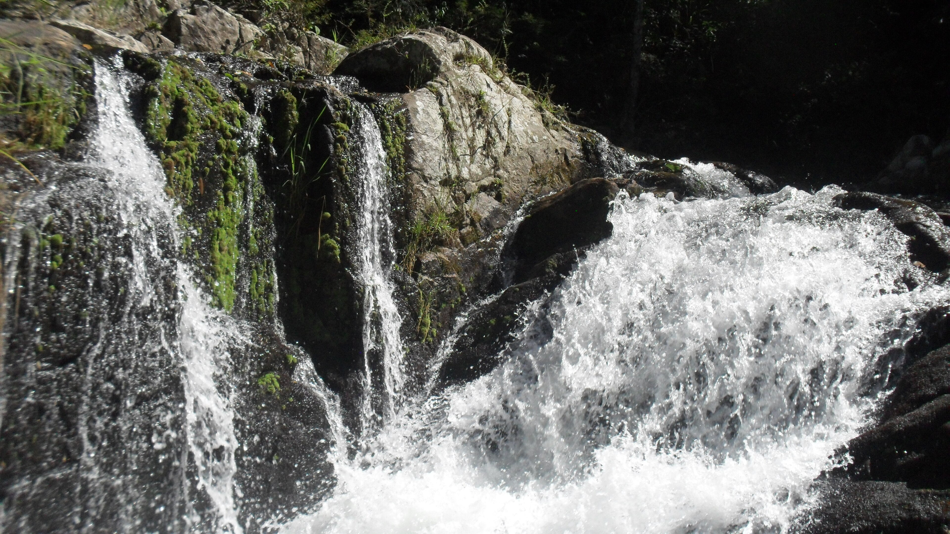 Reserva Biológica do Tinguá — Mata Atlântica