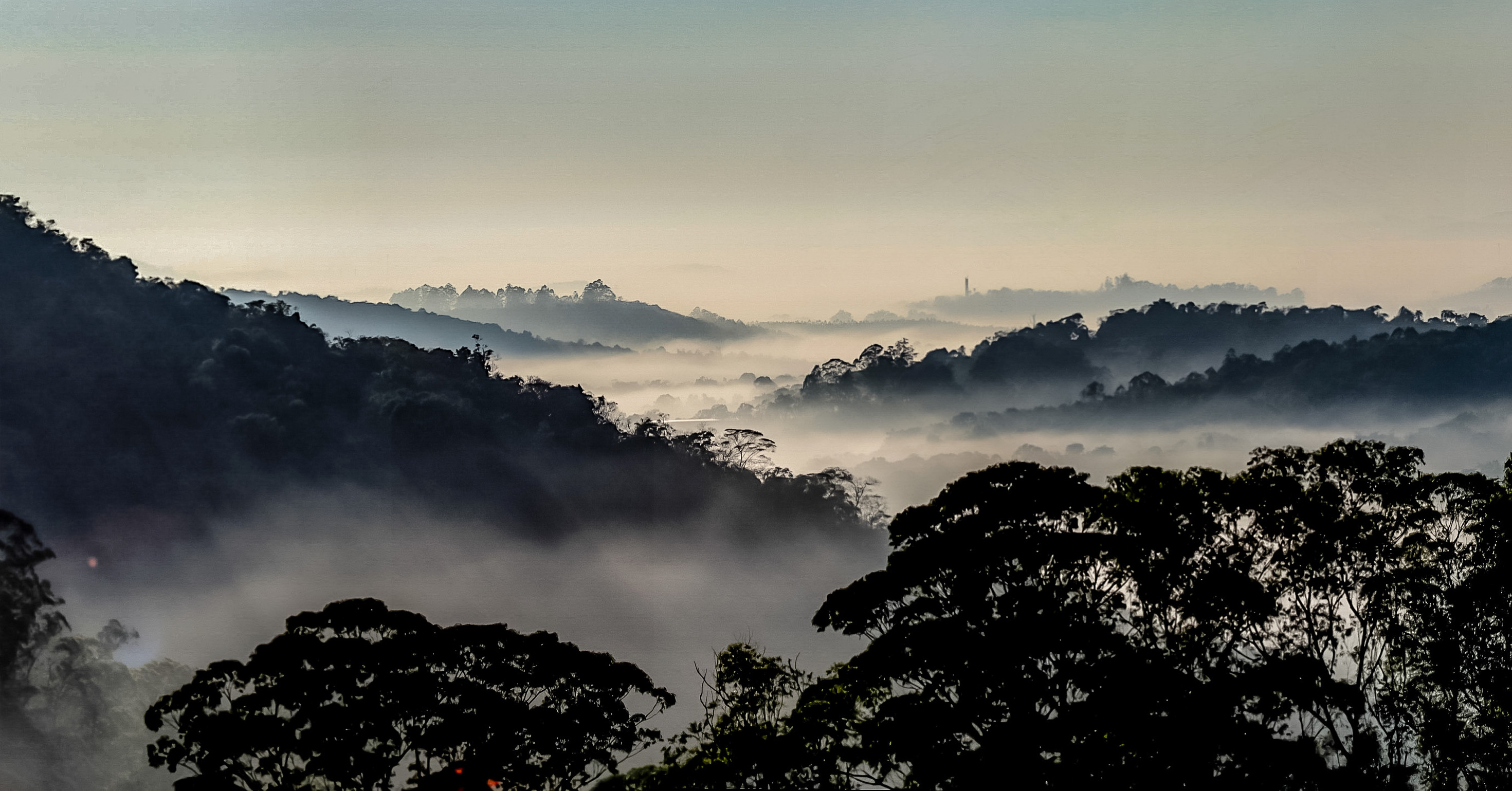 Reserva Biológica Municipal da Serra do Japi — Mata Atlântica