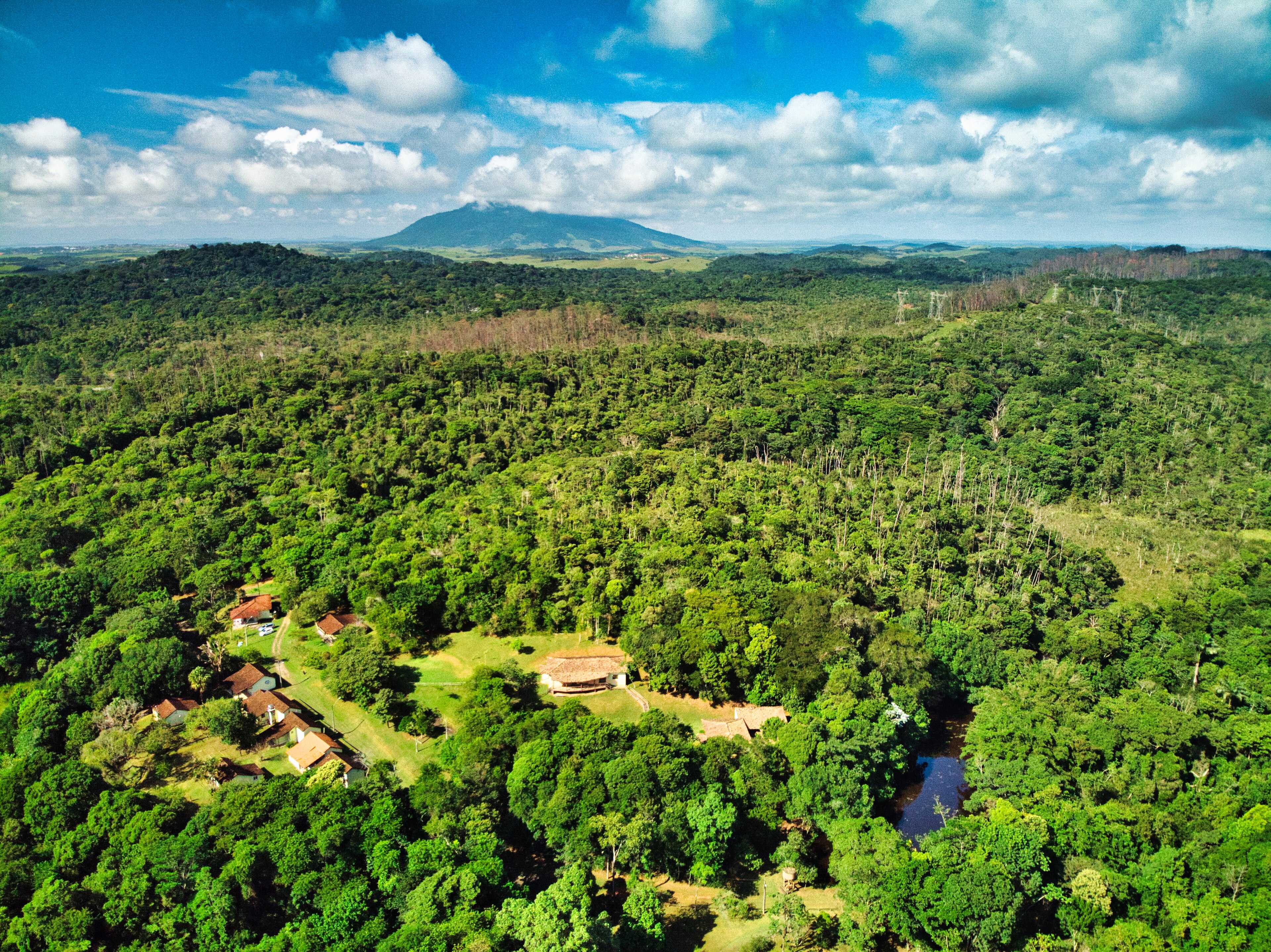 Reserva Biológica União — Mata Atlântica