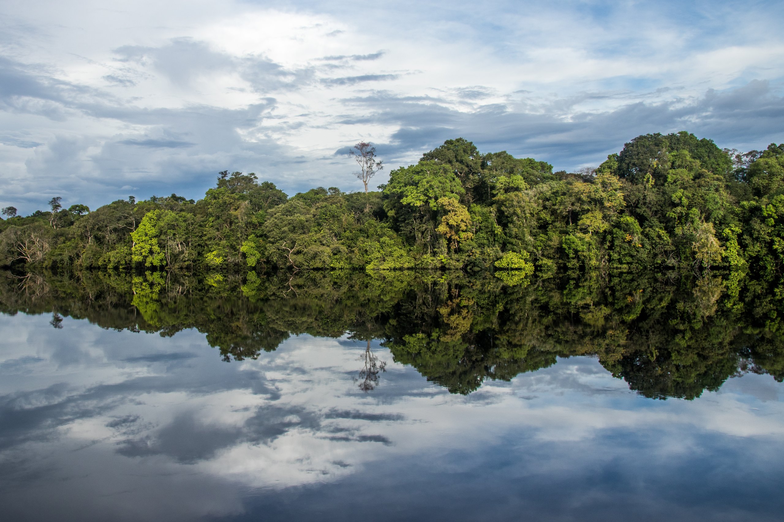 Reserva de Desenvolvimento Sustentável Amanã — Amazônia