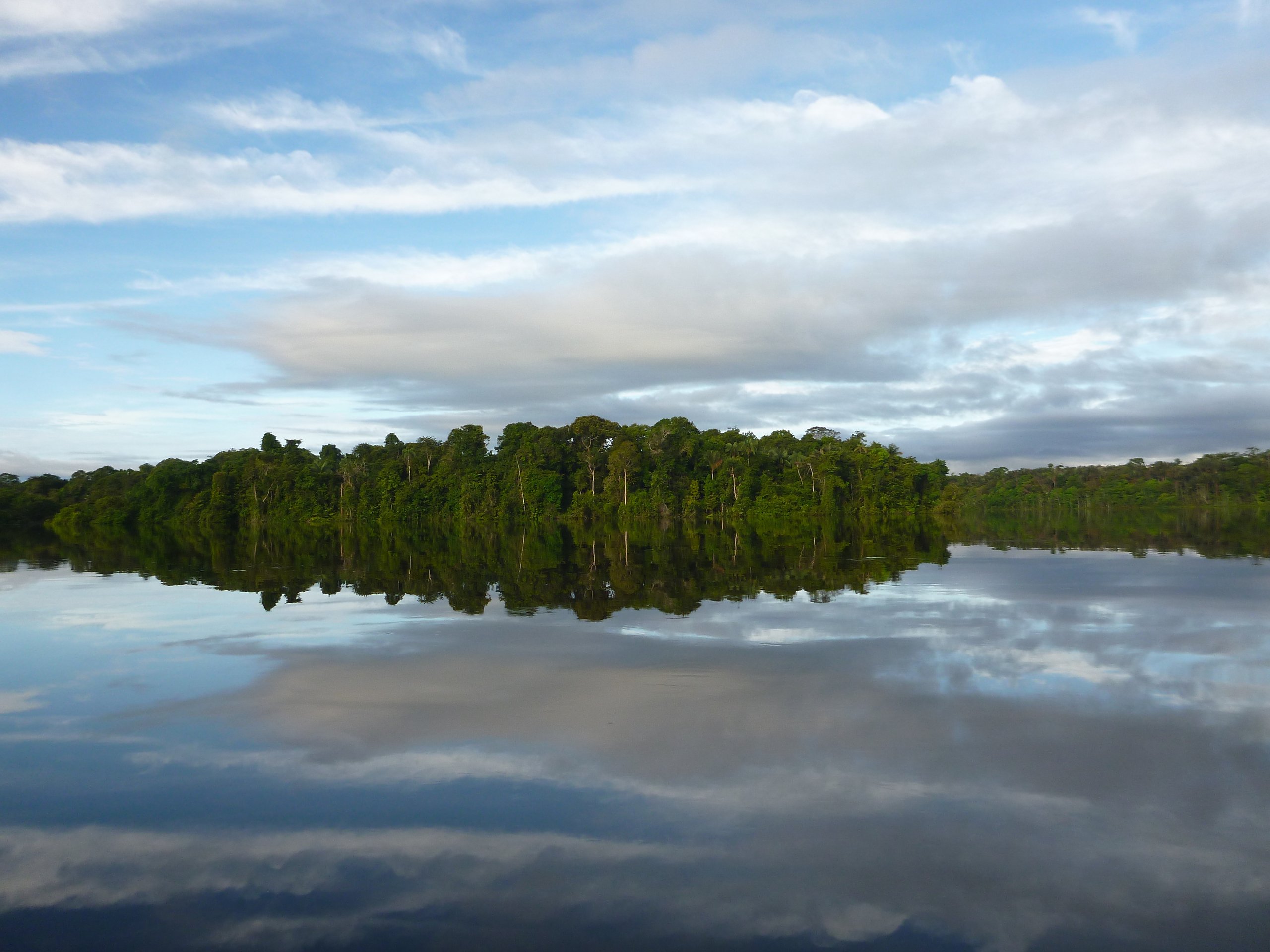 Reserva de Desenvolvimento Sustentável Cujubim — Amazônia