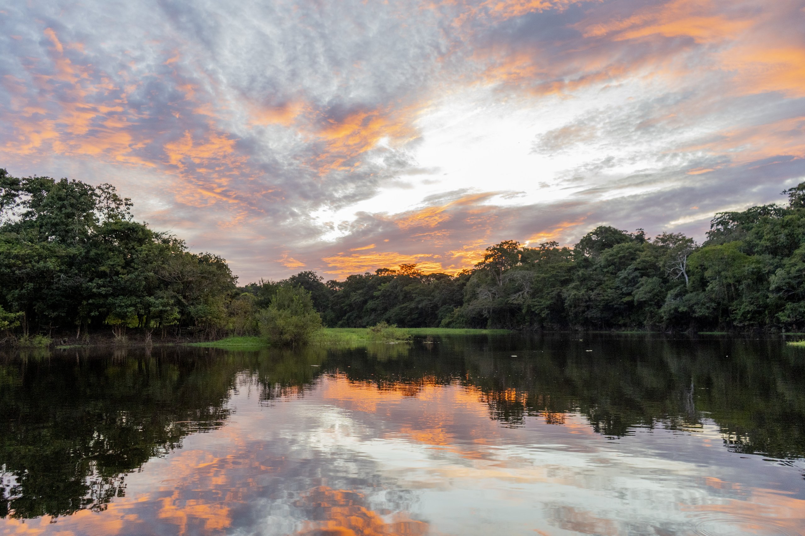 Reserva de Desenvolvimento Sustentável Mamirauá — Amazônia