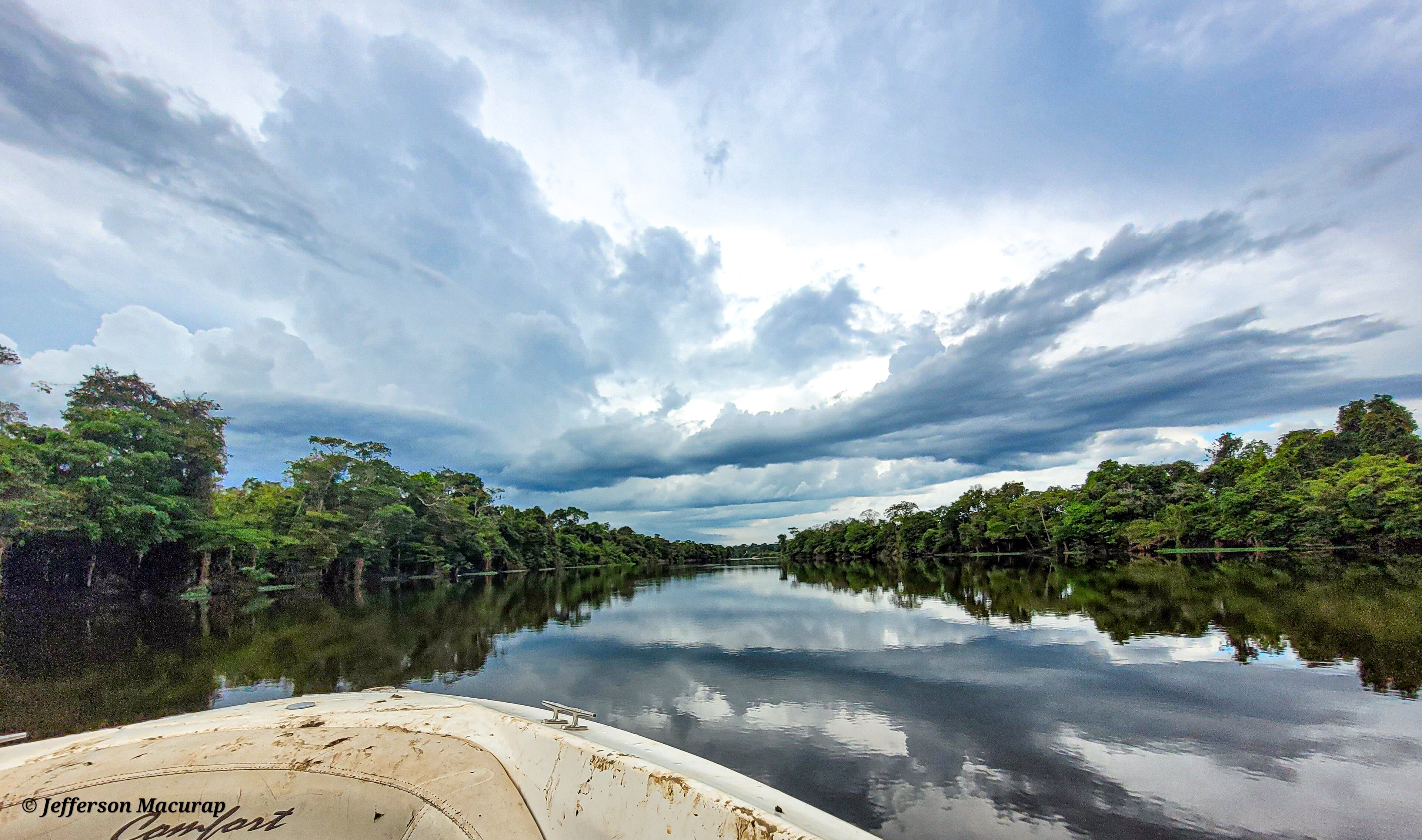 Reserva Extrativista Rio Pacaás Novos — Amazônia
