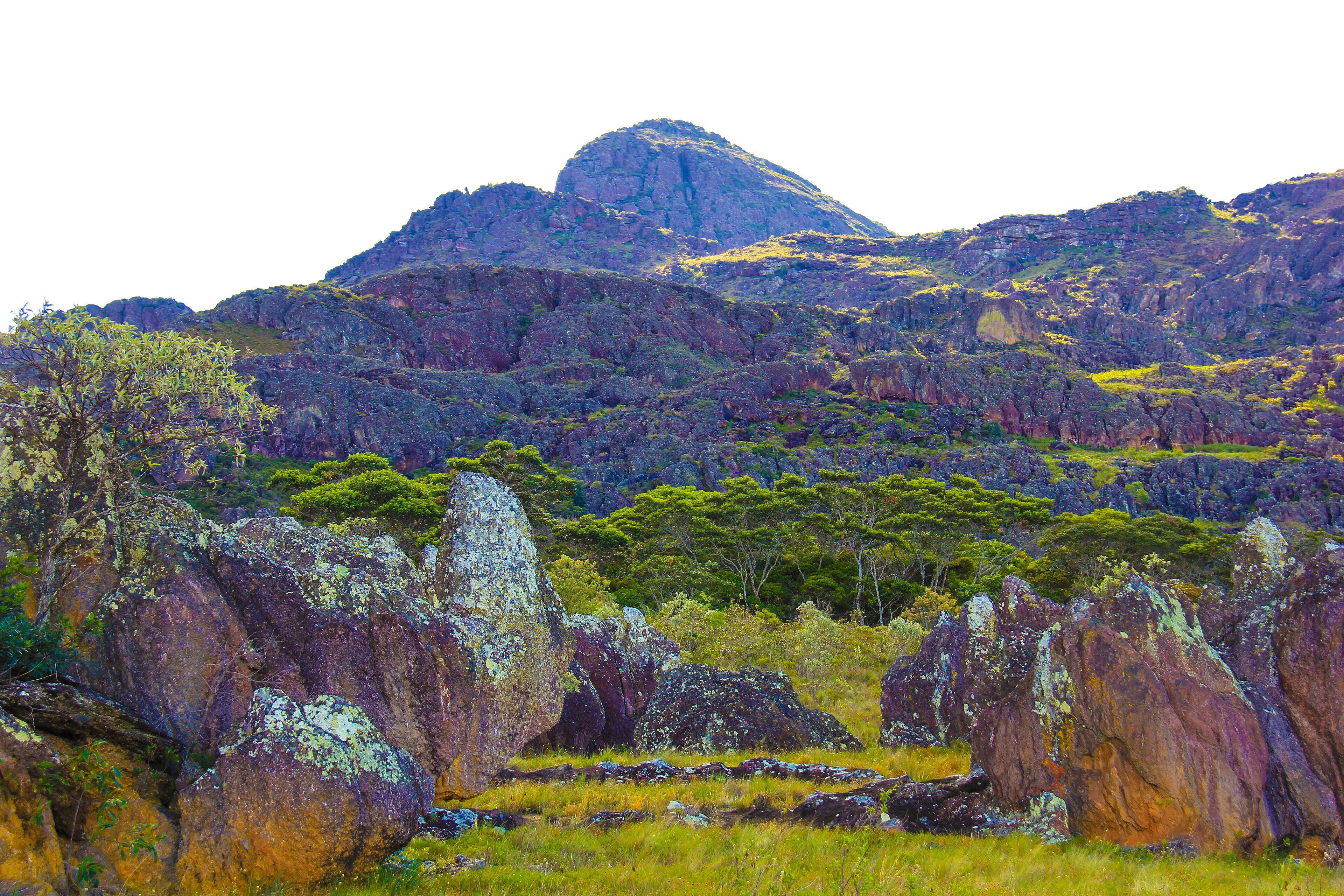 RPPN Brumadinho — Caatinga