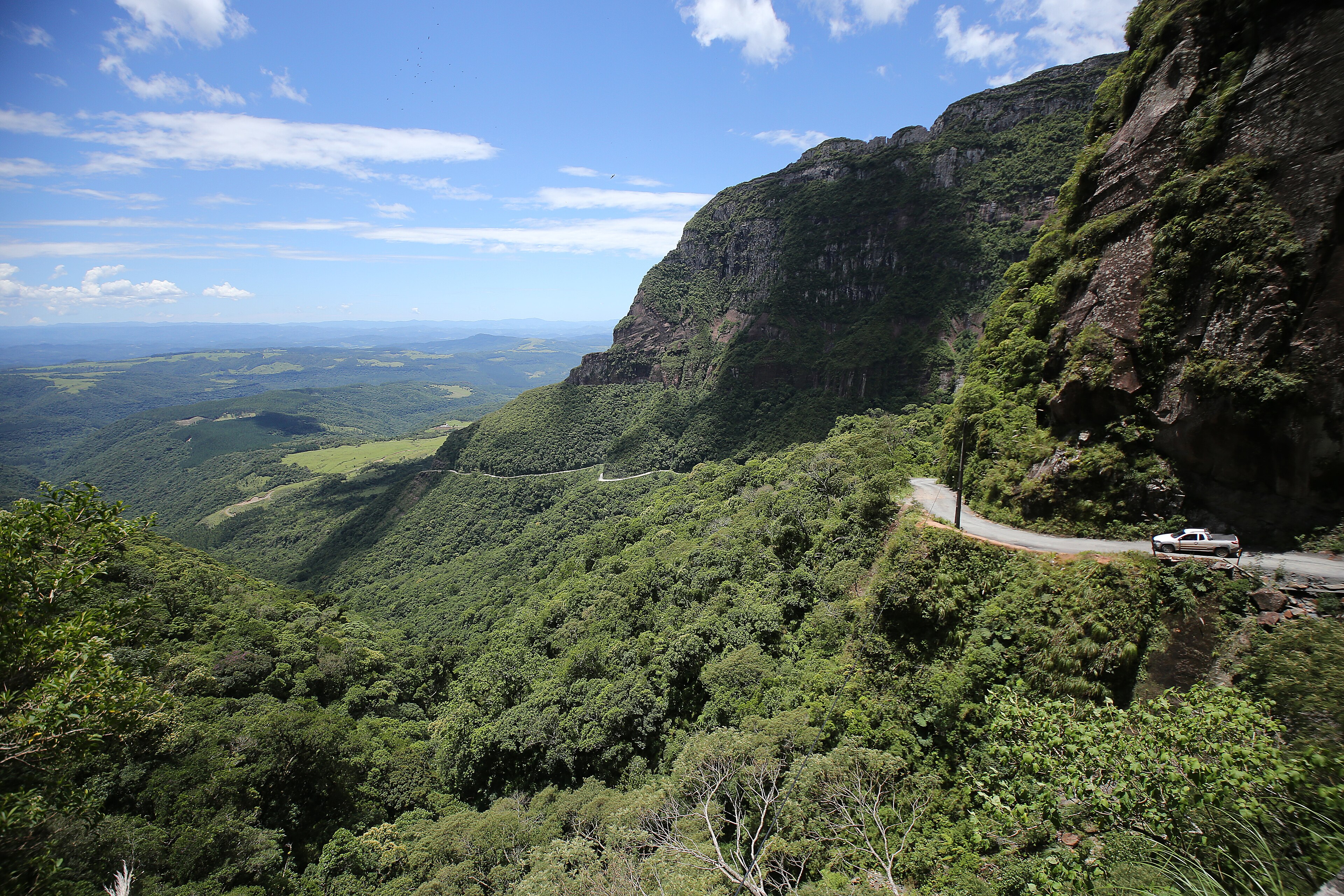RPPN Corvo Branco — Mata Atlântica