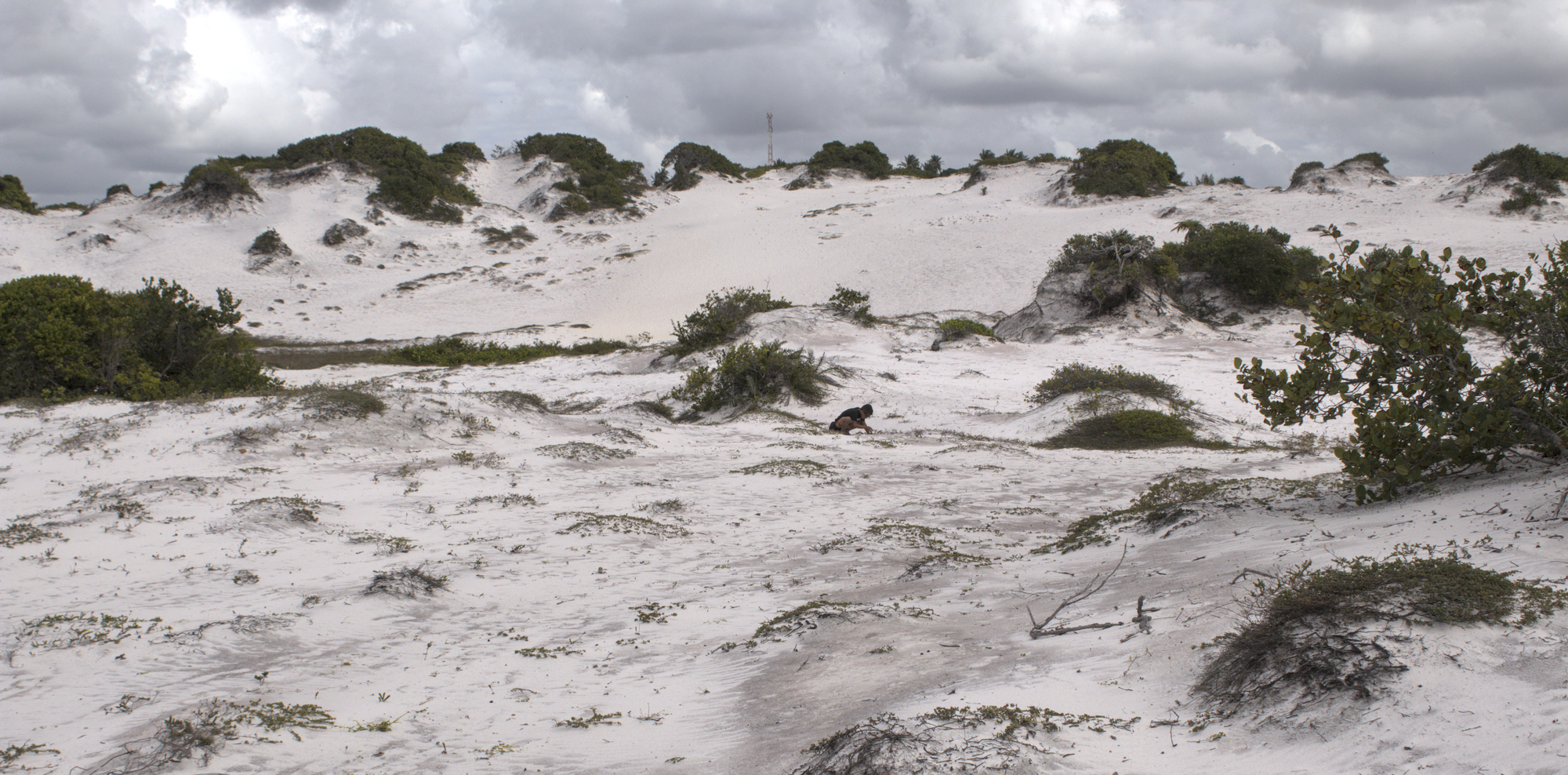 RPPN Dunas de Santo Antônio — Mata Atlântica