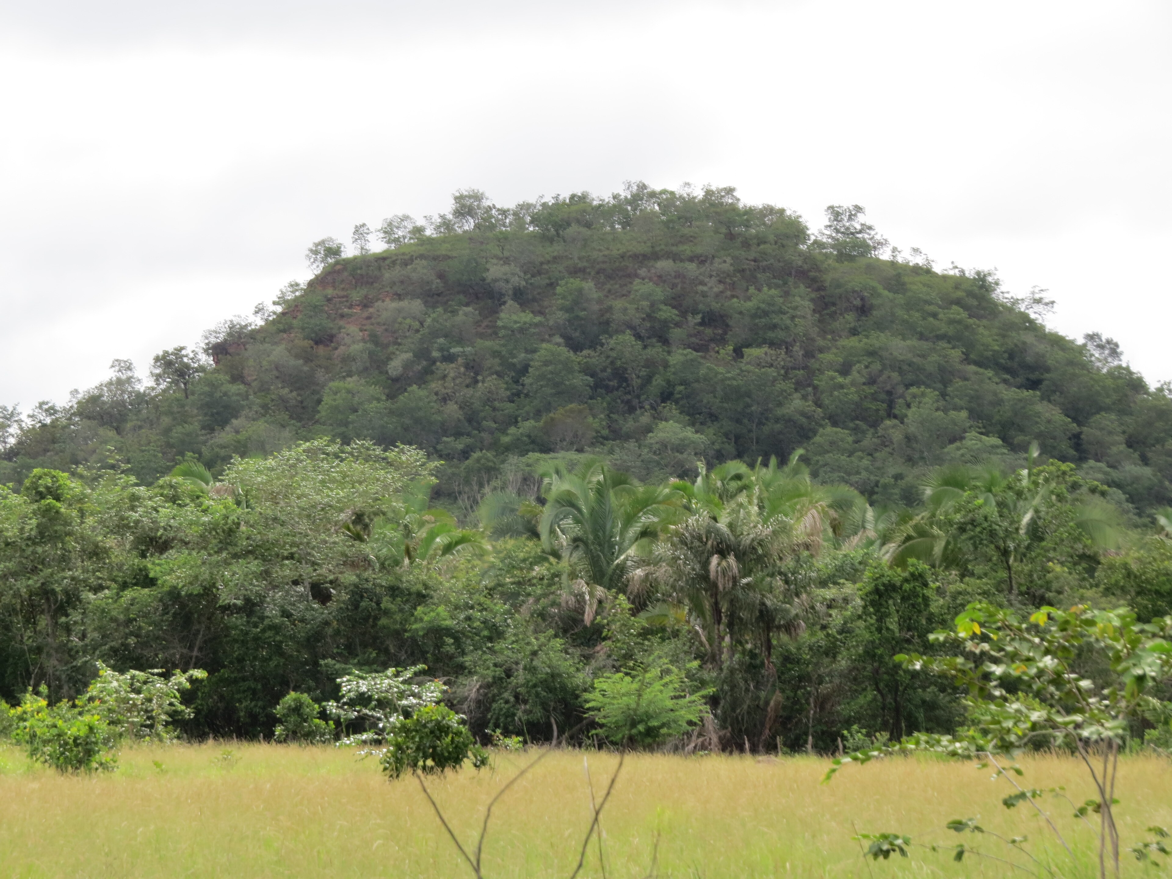 RPPN Fazenda Boqueirão dos Frades — Cerrado
